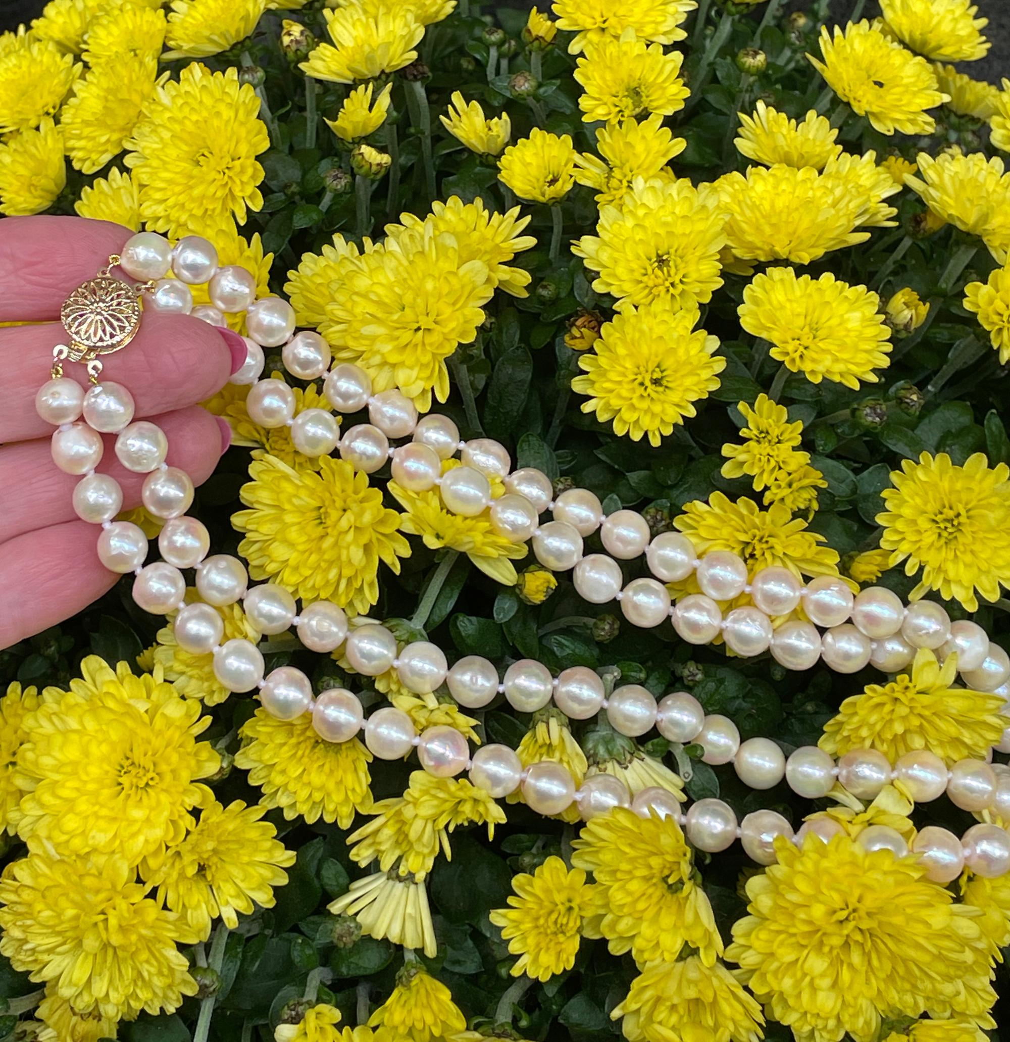 Classic Cultured Japanese Pearl White Double Strand Vintage Necklace 14k YG In Good Condition For Sale In New York, NY