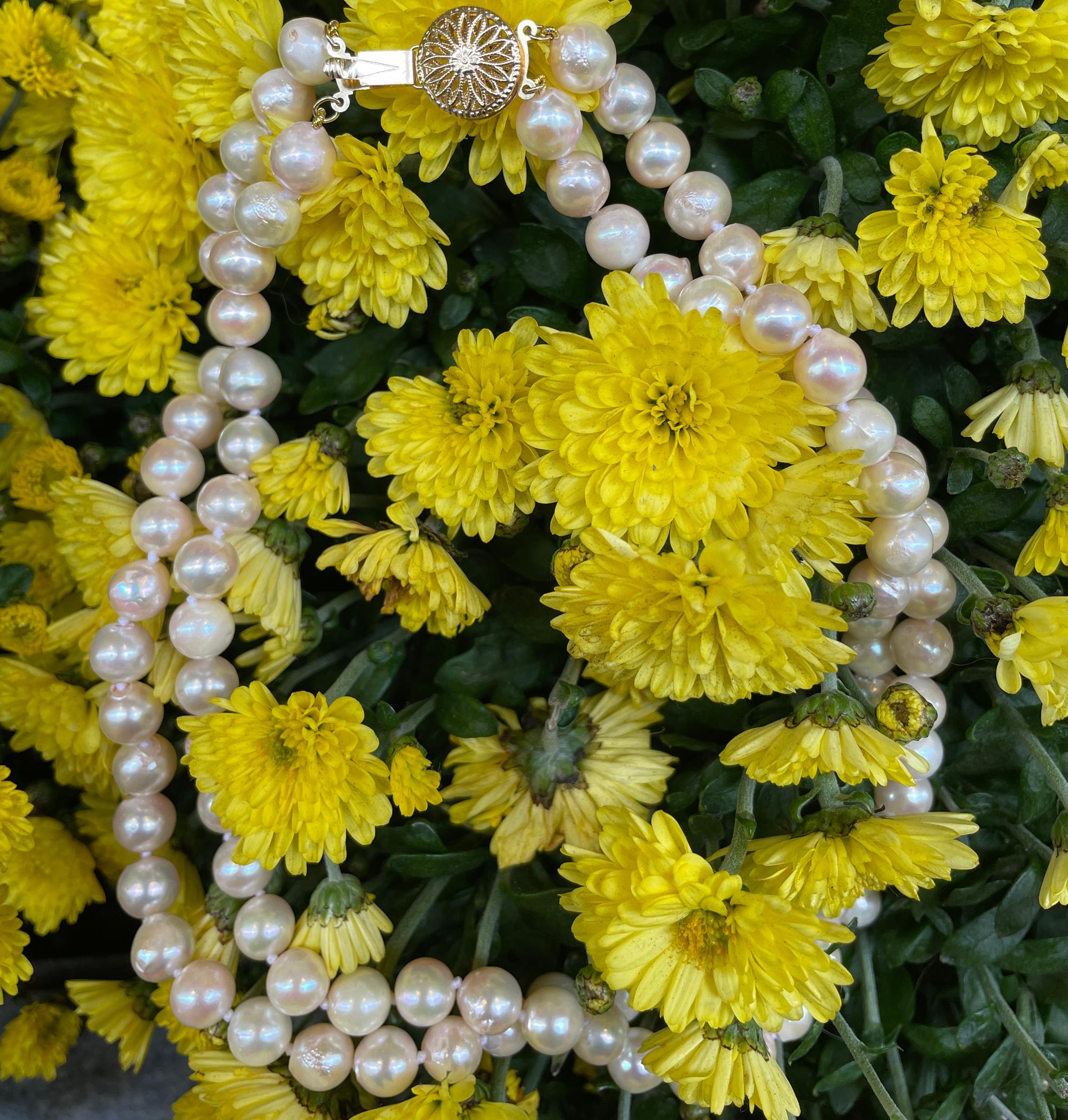 Classico  Collana a doppio filo con perle coltivate giapponesi da 7,5 a 8 mm in oro 14k In condizioni buone in vendita a New York, NY