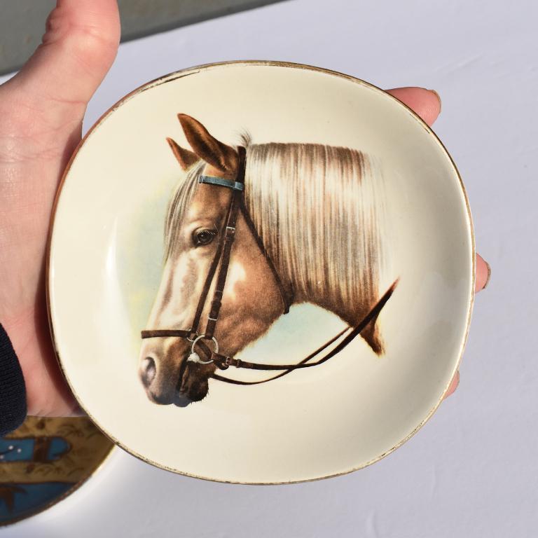 Rounded square equestrian style horse dish or trinket bowl with horse portrait at center. This dish or plate is in a square shape, with rounded edges. Almost circular, but not quite. (A shape that resides somewhere in between) Around the edges is a