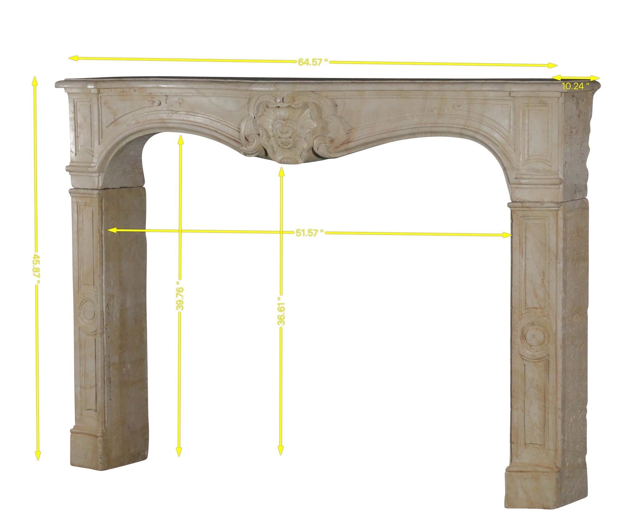 Questa cornice per camino in pietra calcarea dura francese è davvero un pezzo di squisito artigianato.
Vanta proporzioni regali e presenta un grande intaglio centrale che lo rende un elemento d'arredo unico.
L'intaglio centrale è una dettagliata