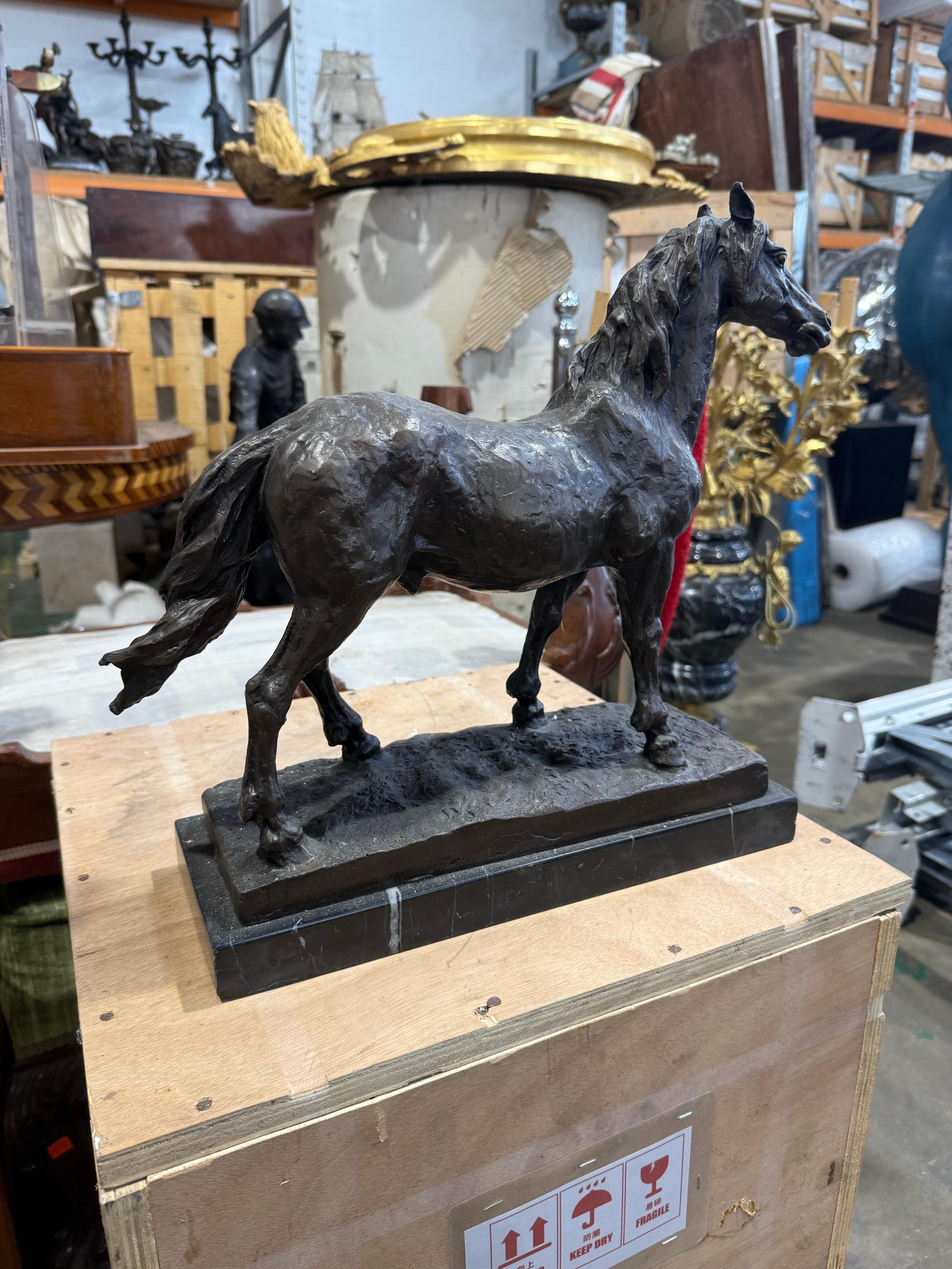Sculpture en bronze français finement coulé représentant un cheval debout, avec une posture naturaliste et de riches détails dans la musculature et la crinière. Cette pièce intemporelle repose sur un socle en marbre noir, qui renforce sa présence