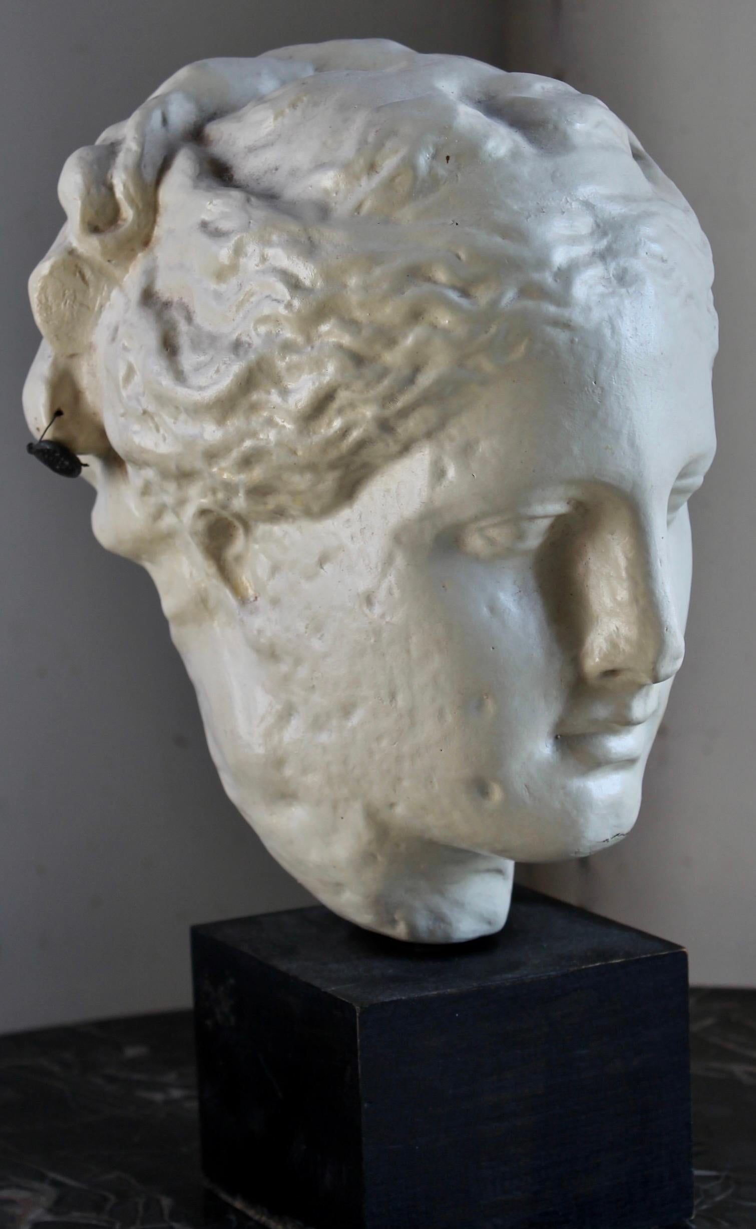 Moulage moderne en plâtre d'une tête grecque classique. L'étiquette en papier doré indique : 'Les Soldes de la Santé 359 A.I.C.'. Sous le plâtre, on peut lire 