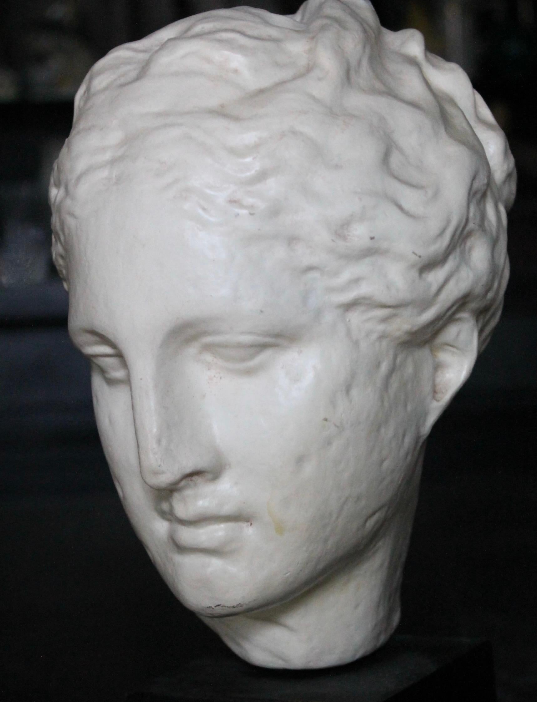 20ième siècle Reproduction en plâtre d'une tête grecque classique