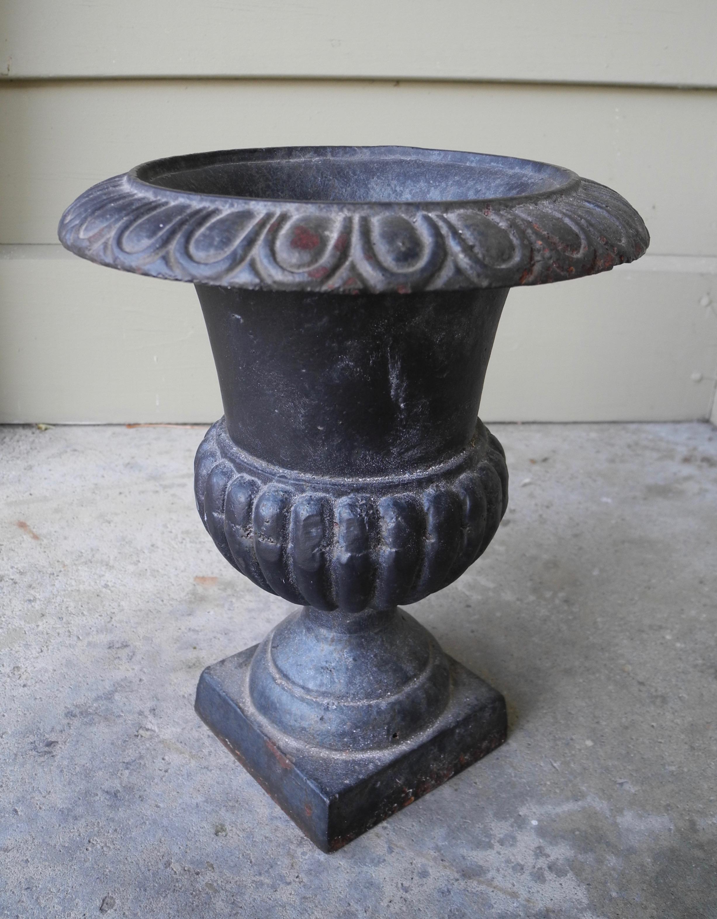 American Classic Greek Style Small Jar Garden Iron Planter Center Piece or Ornament For Sale