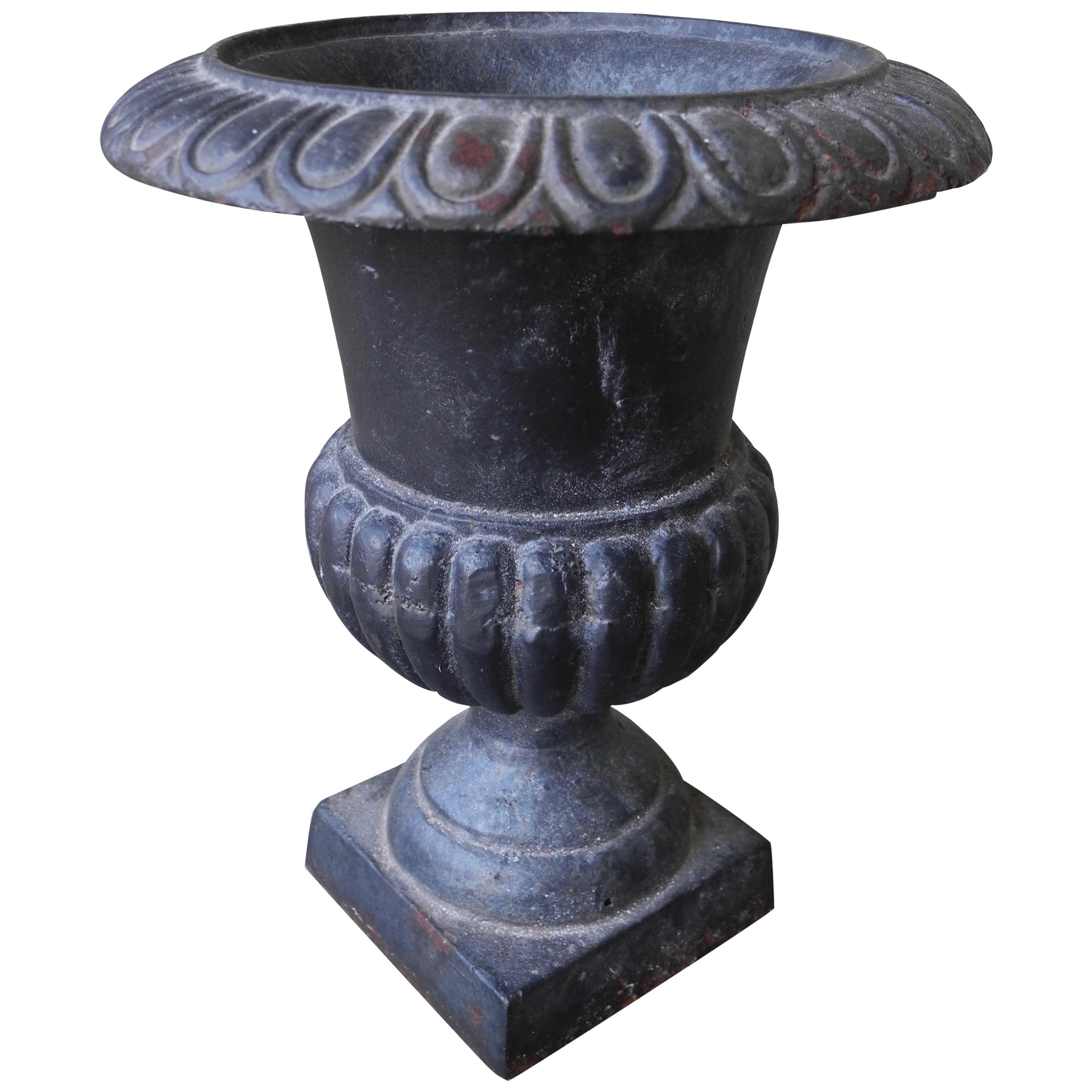 Classic Greek Style Small Jar Garden Iron Planter Center Piece or Ornament For Sale