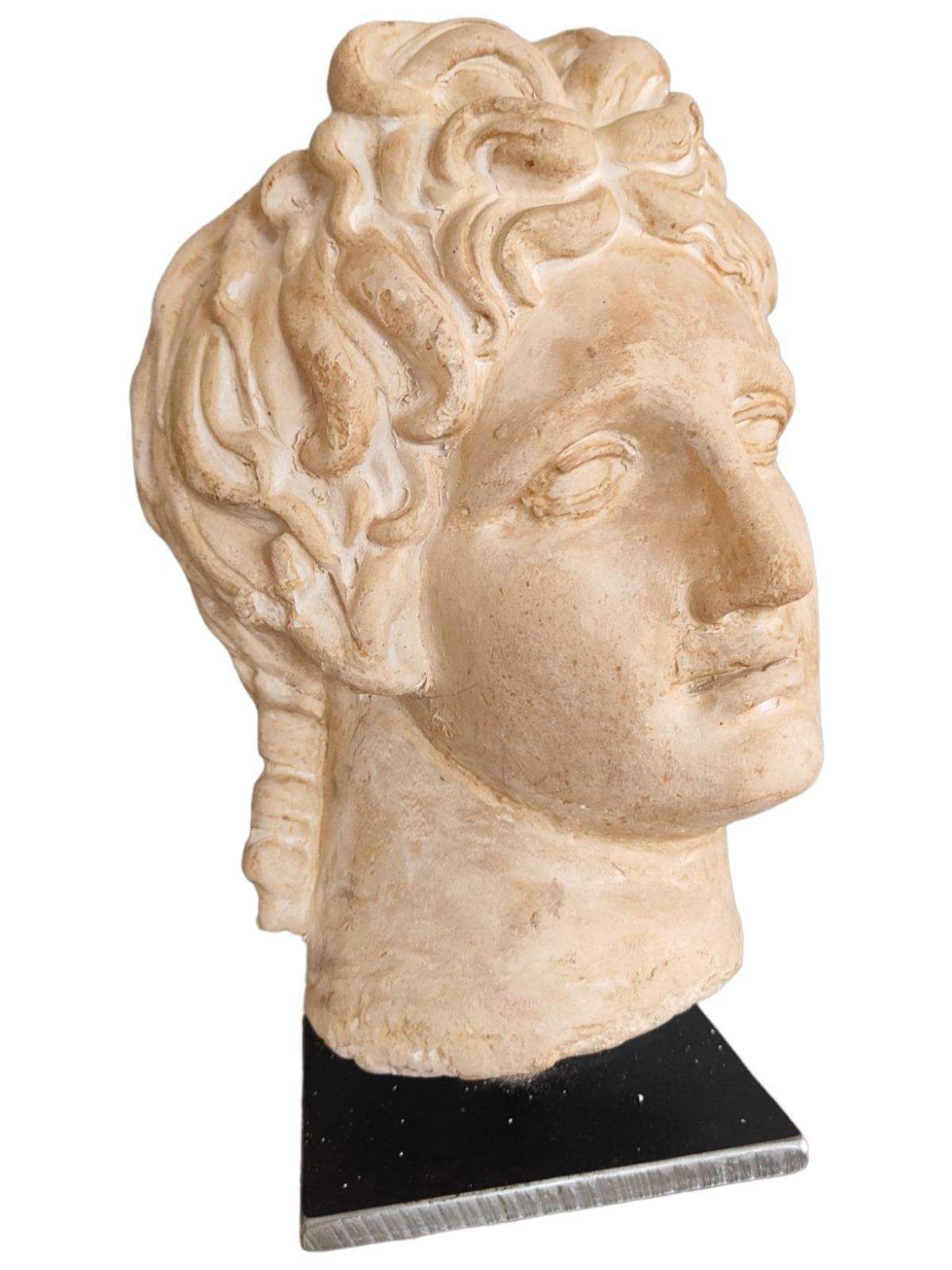 Baroque Classic Head in Terracotta from the 20th Century For Sale