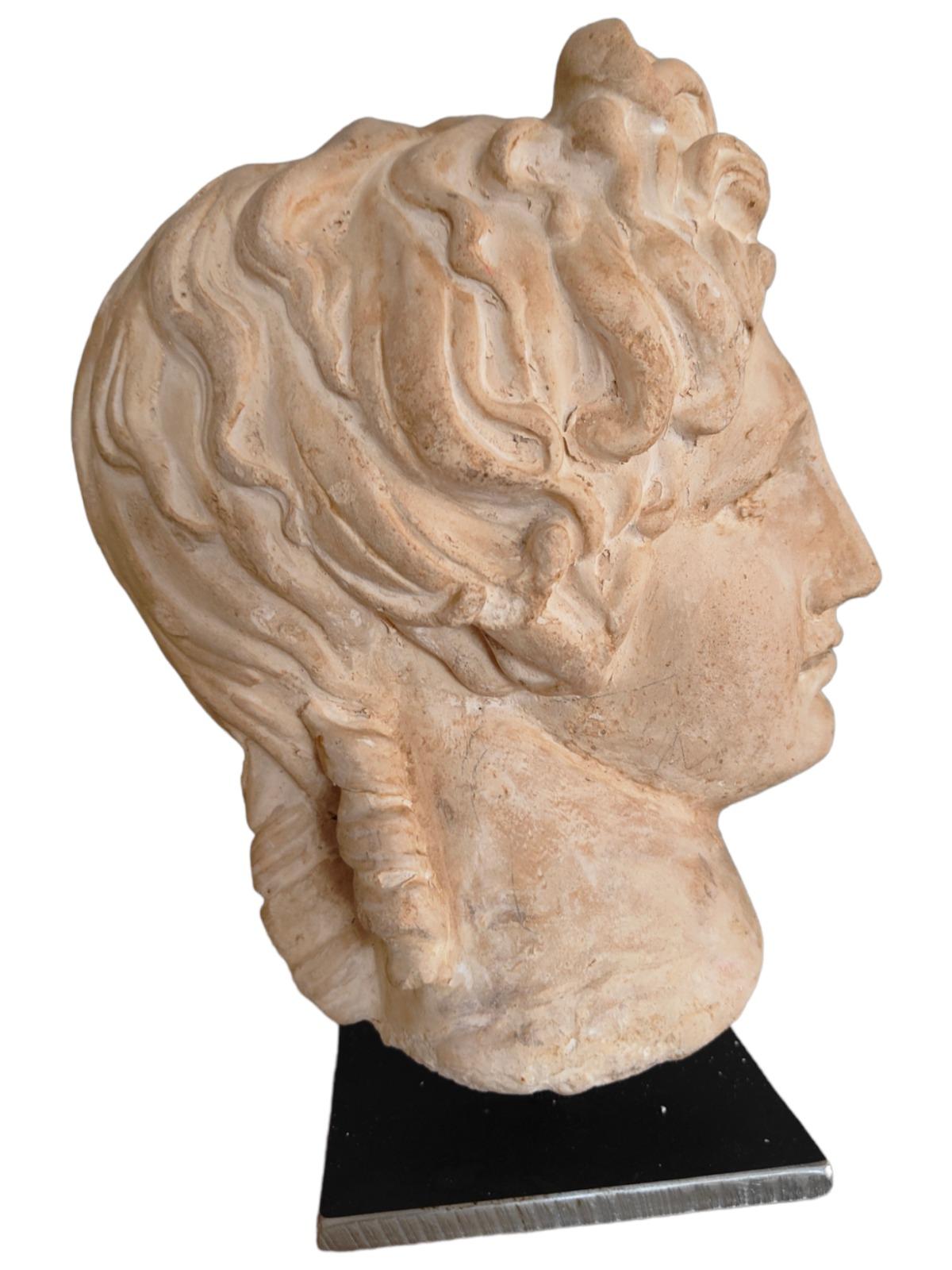 Italian Classic Head in Terracotta from the 20th Century For Sale