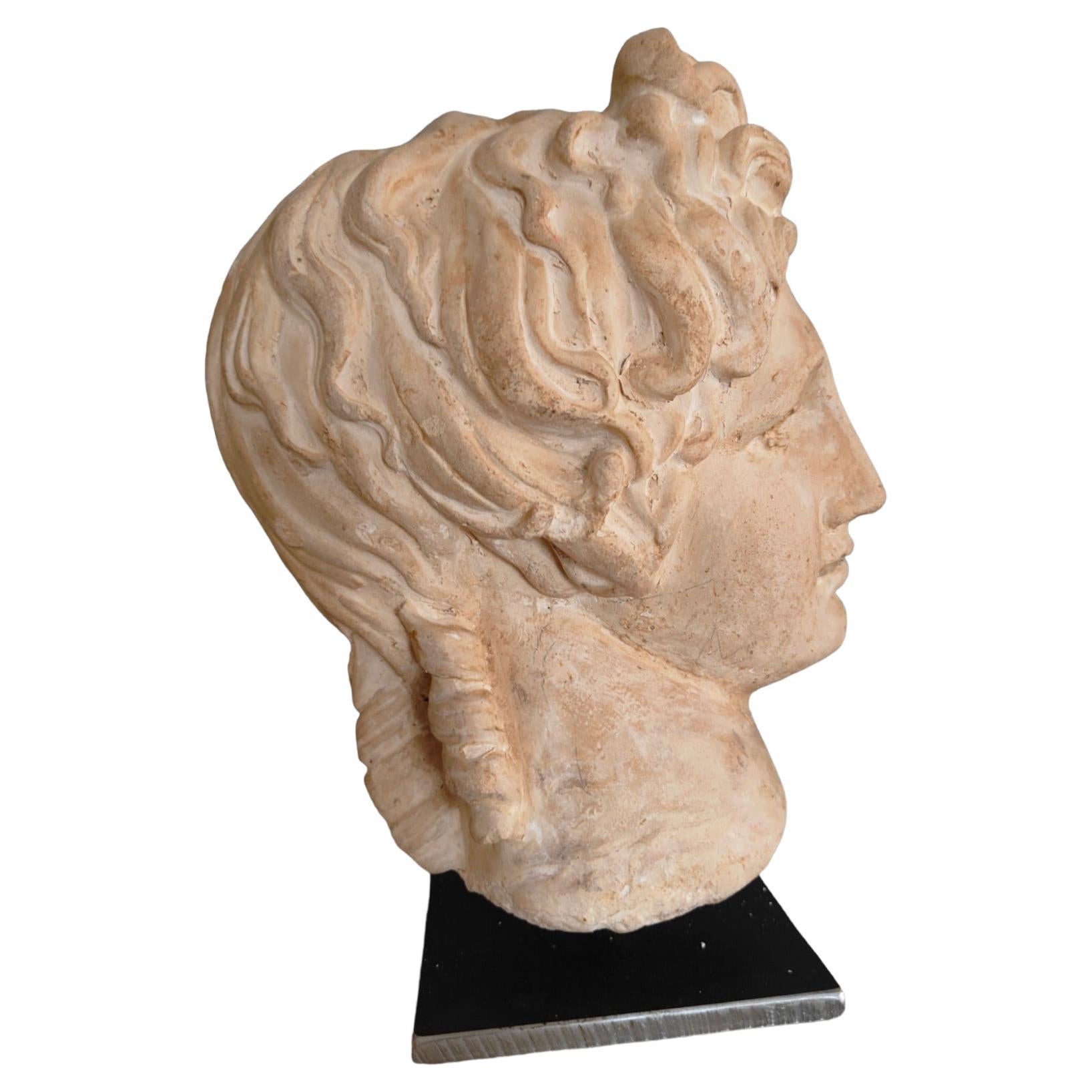 Classic Head in Terracotta from the 20th Century