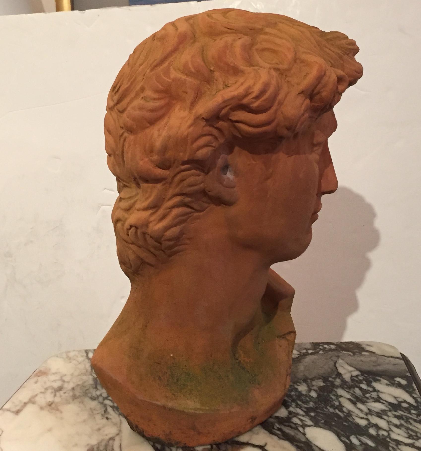 Romantic sculptural bust in earthy terracotta of the classically handsome David.