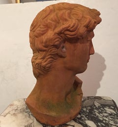Classic Italian Terracotta Bust of David