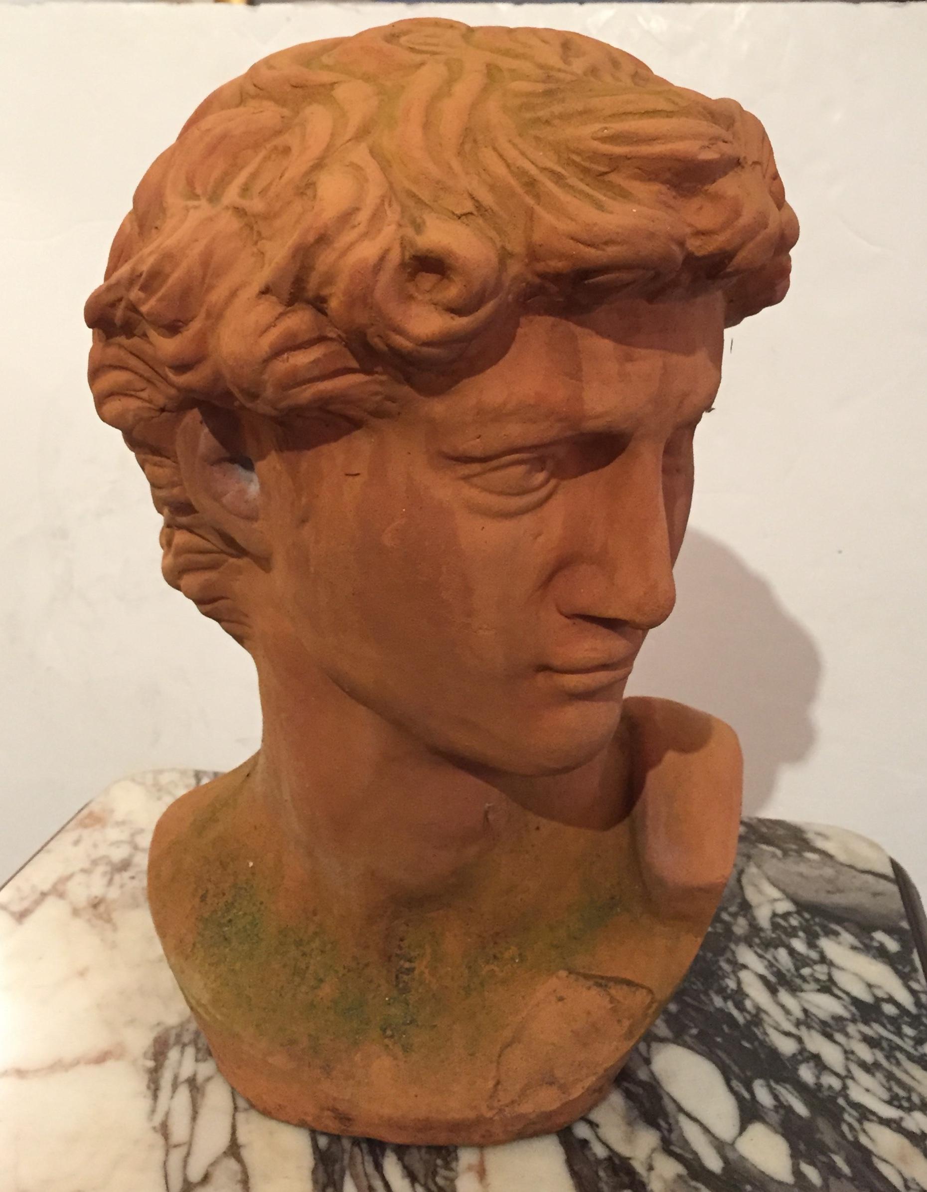 Italienische Davidbüste aus Terrakotta im Zustand „Hervorragend“ im Angebot in Hopewell, NJ