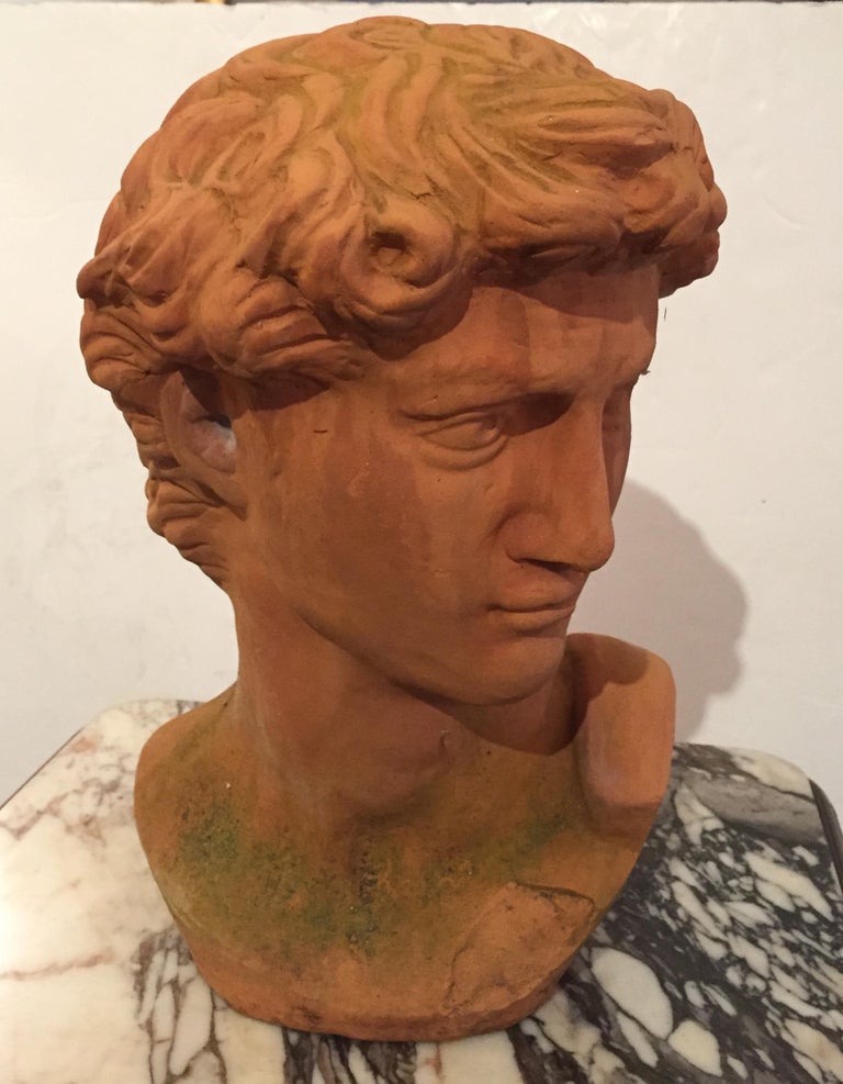 Classic Italian Terracotta Bust of David For Sale at 1stDibs