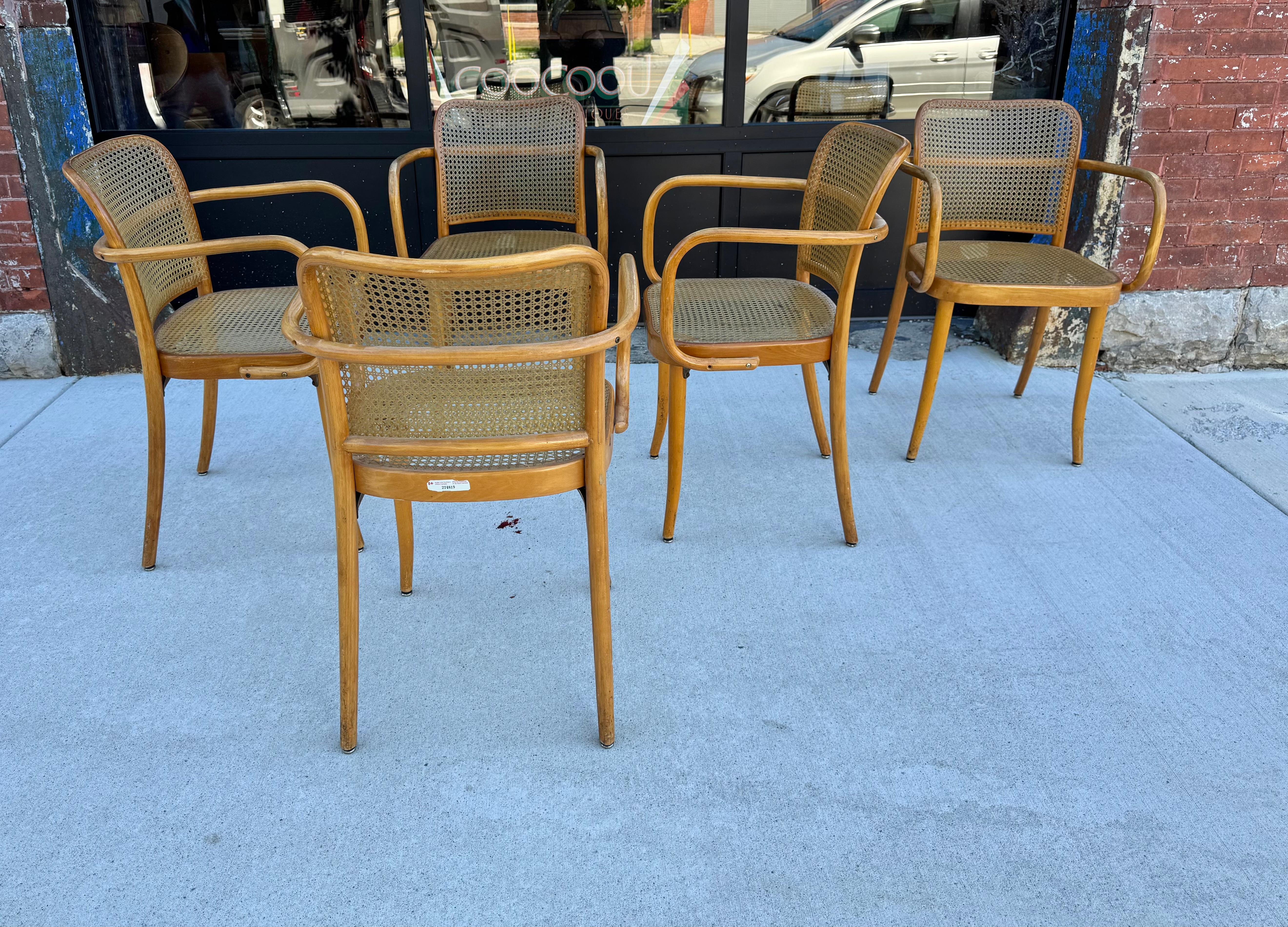 Clásico Josef Hoffman para Ligna Conjunto de cinco sillas de madera curvada y tripa / Checo en Bueno estado para la venta en Buffalo, NY