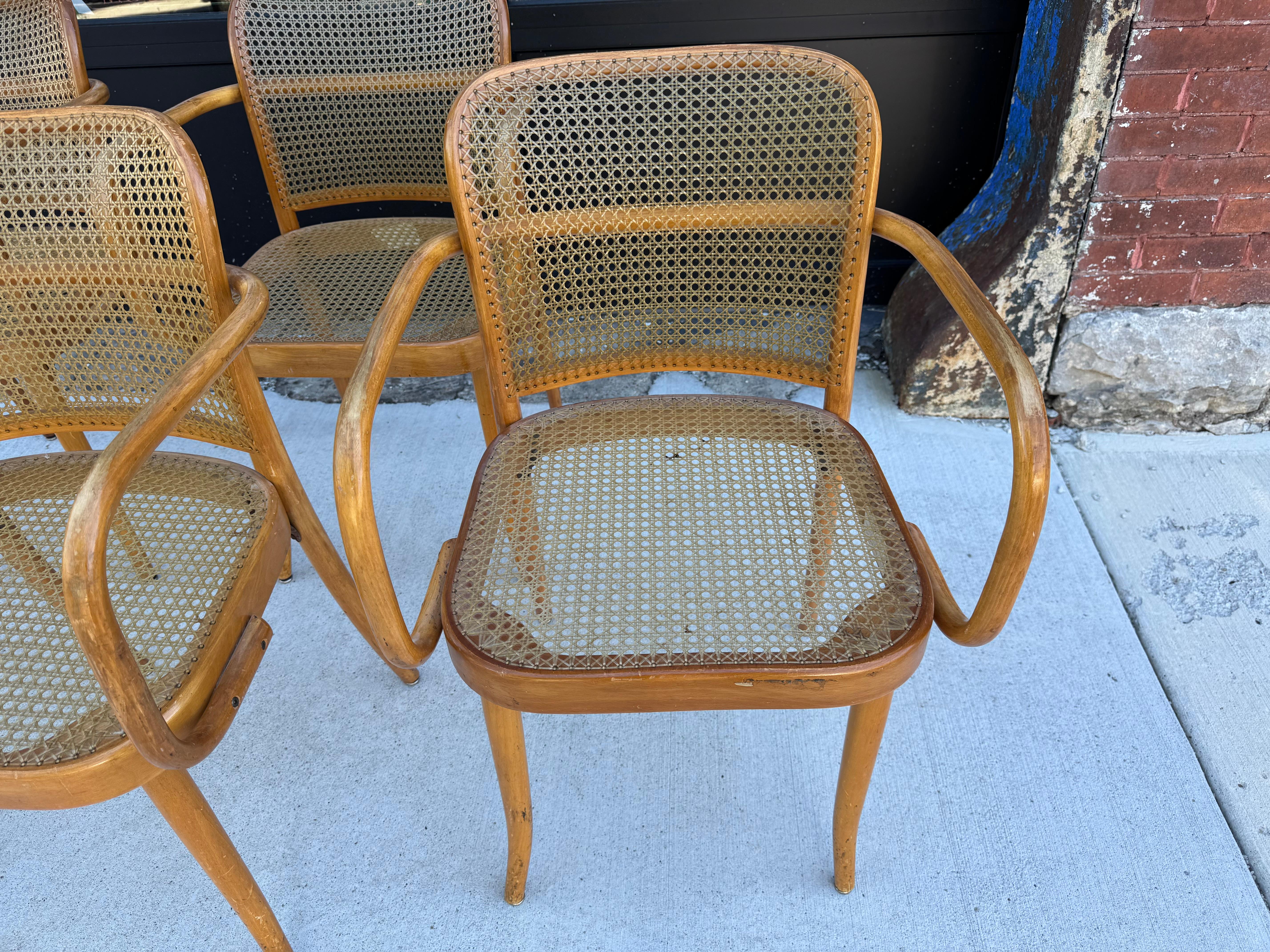 Clásico Josef Hoffman para Ligna Conjunto de cinco sillas de madera curvada y tripa / Checo siglo XX en venta