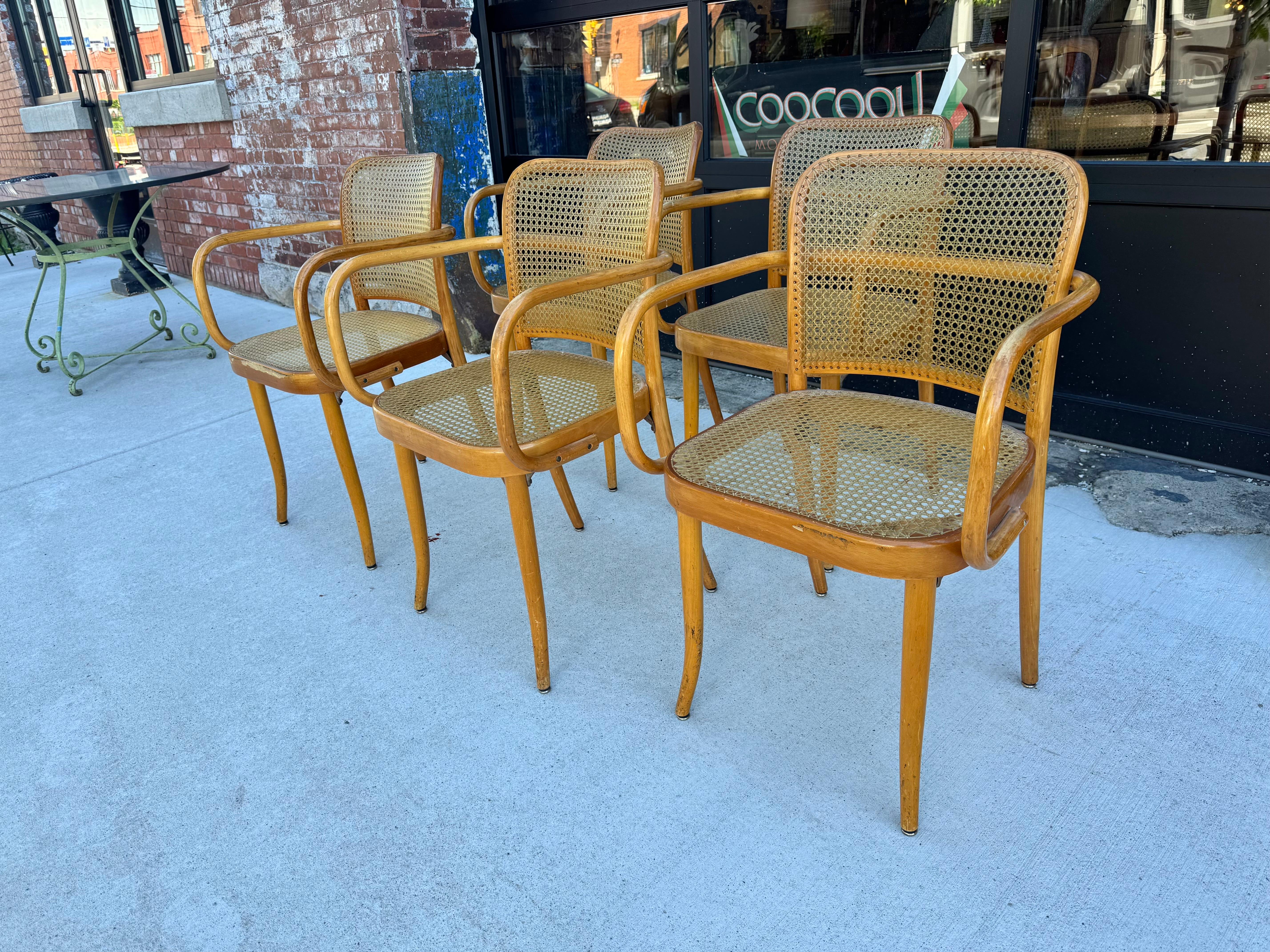 Clásico Josef Hoffman para Ligna Conjunto de cinco sillas de madera curvada y tripa / Checo Caña en venta