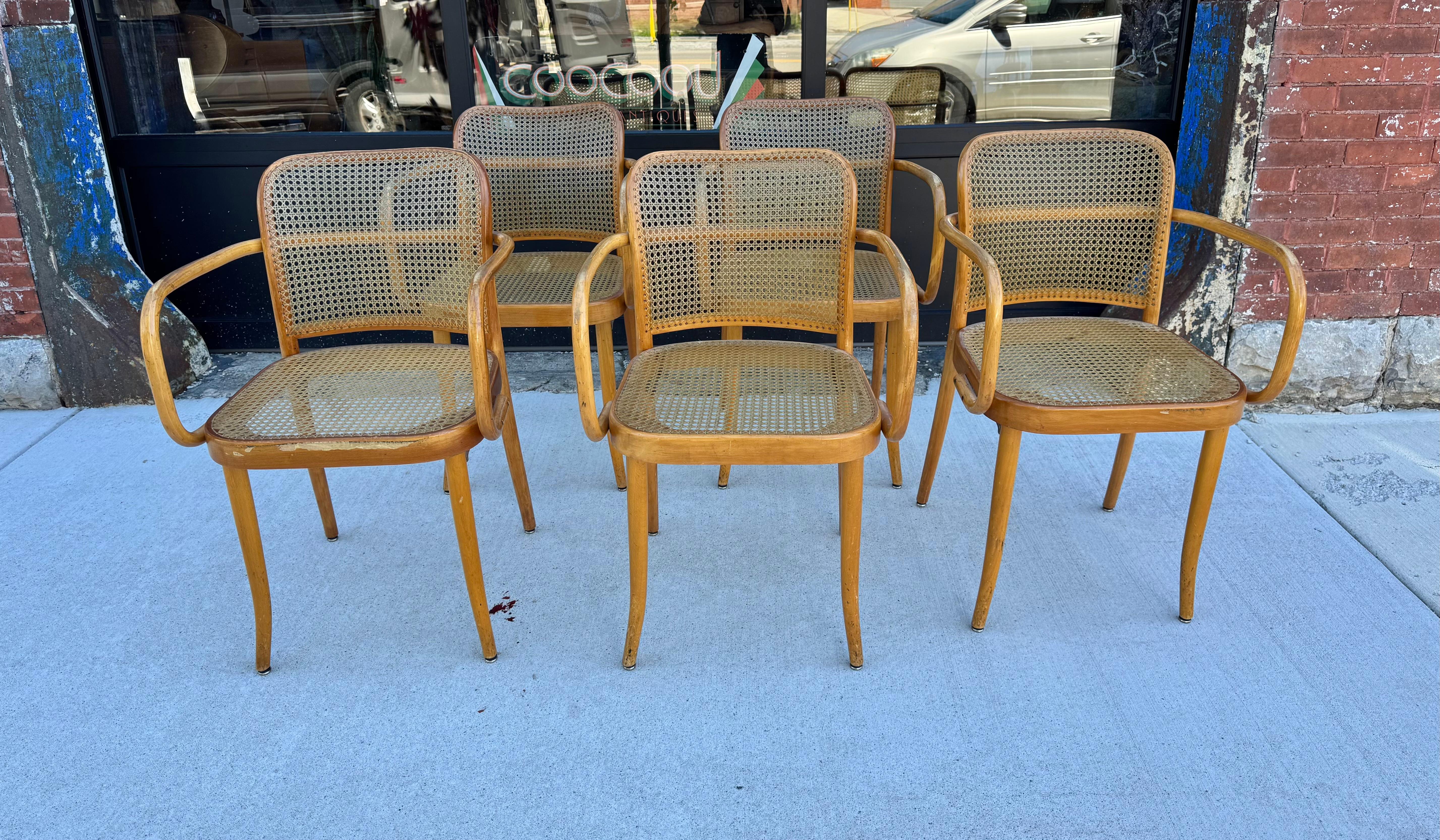 Clásico Josef Hoffman para Ligna Conjunto de cinco sillas de madera curvada y tripa / Checo en venta 1