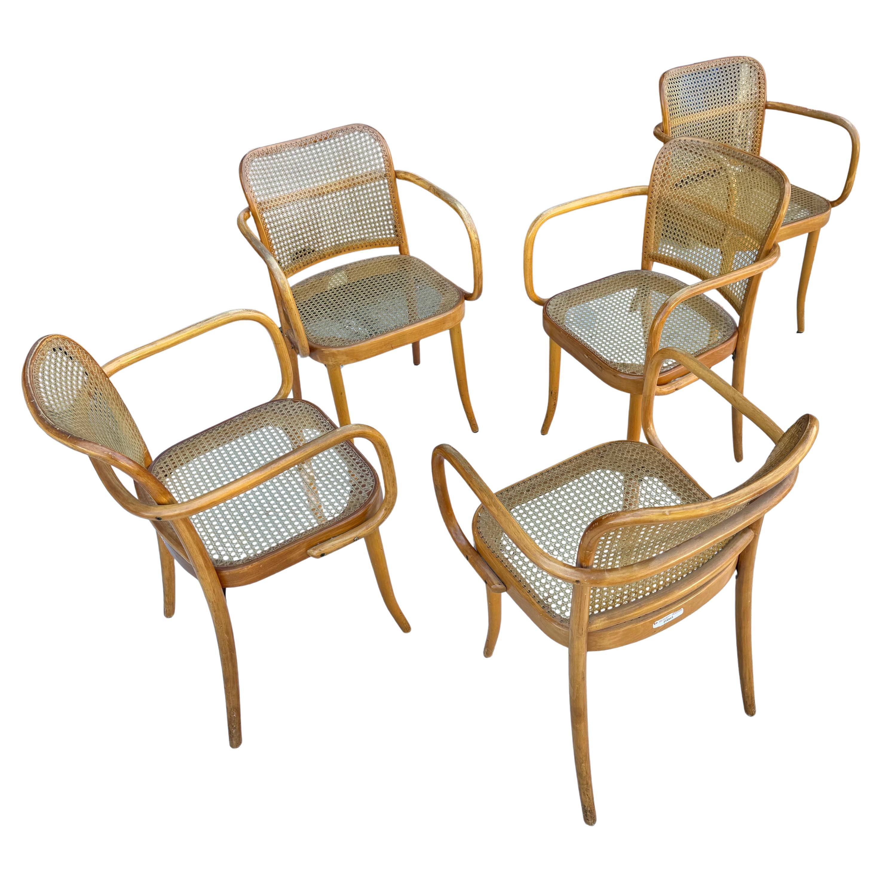 Classico Josef Hoffman per Lignae Set di cinque sedie in legno e budello / Ceco