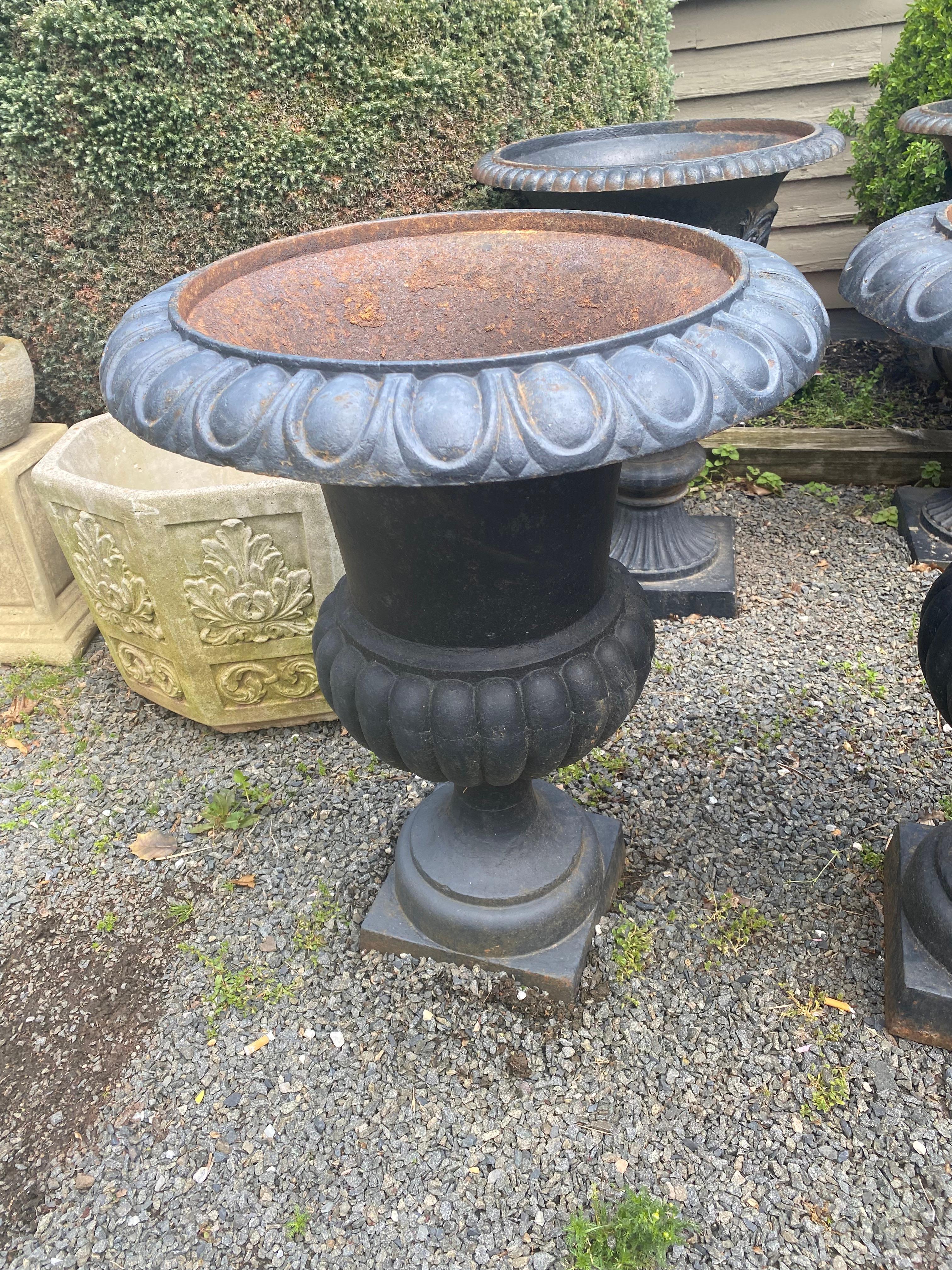 Classic Large Pair of Black Cast Iron Garden Urns In Good Condition In Hopewell, NJ