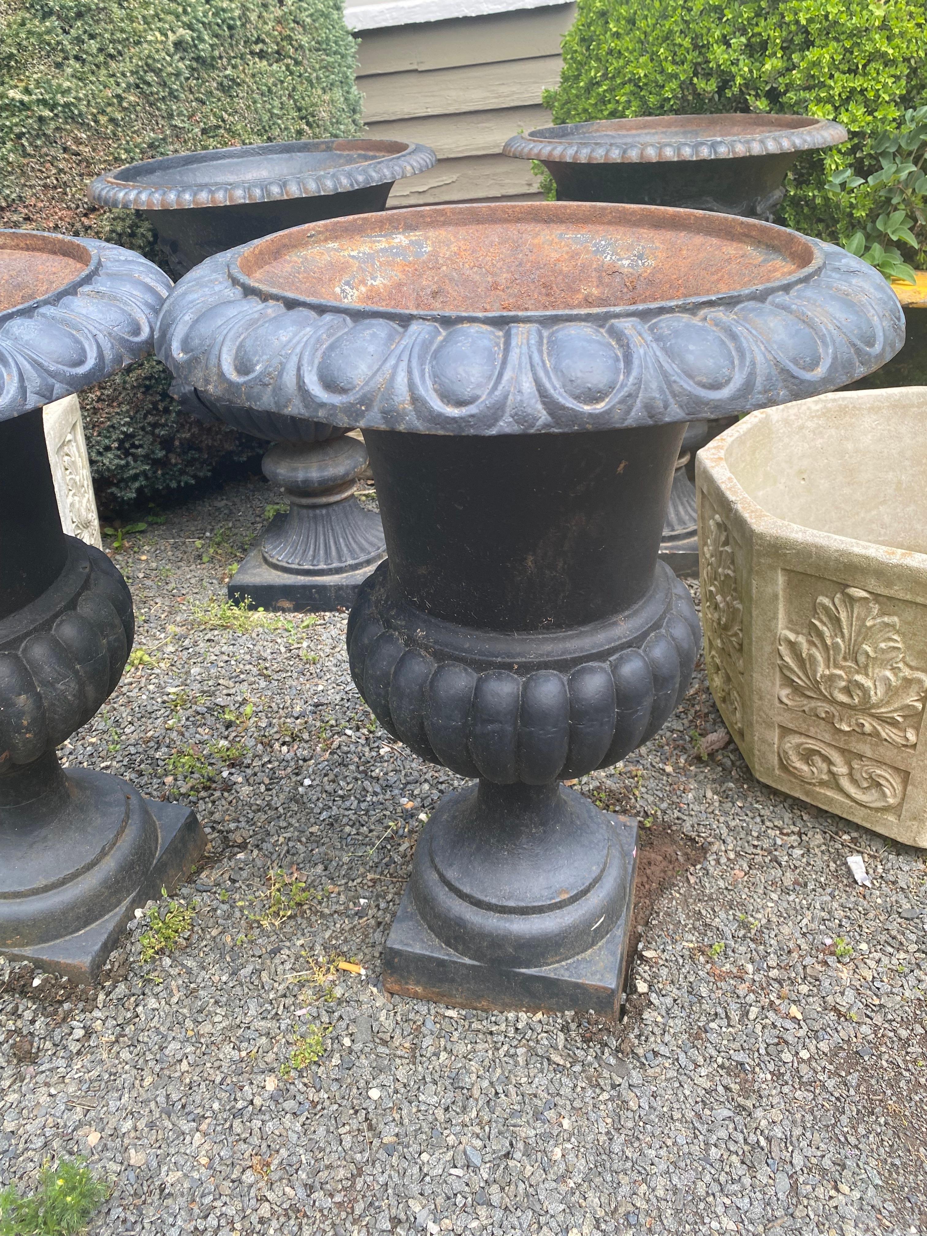 Mid-20th Century Classic Large Pair of Black Cast Iron Garden Urns