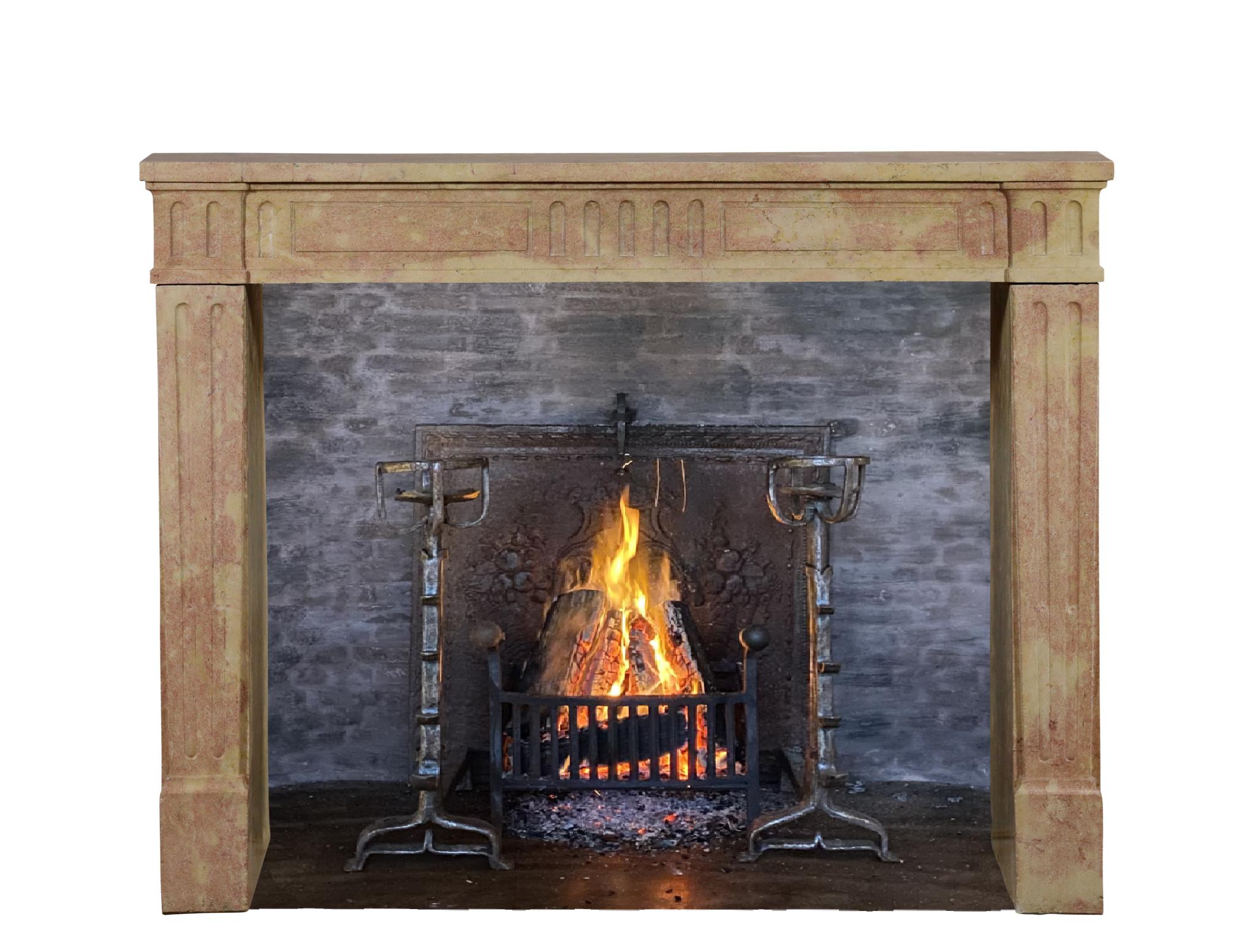 Classic Louis XVI French Bicolor Stone Fireplace From Dijon City Appartement For Sale 6