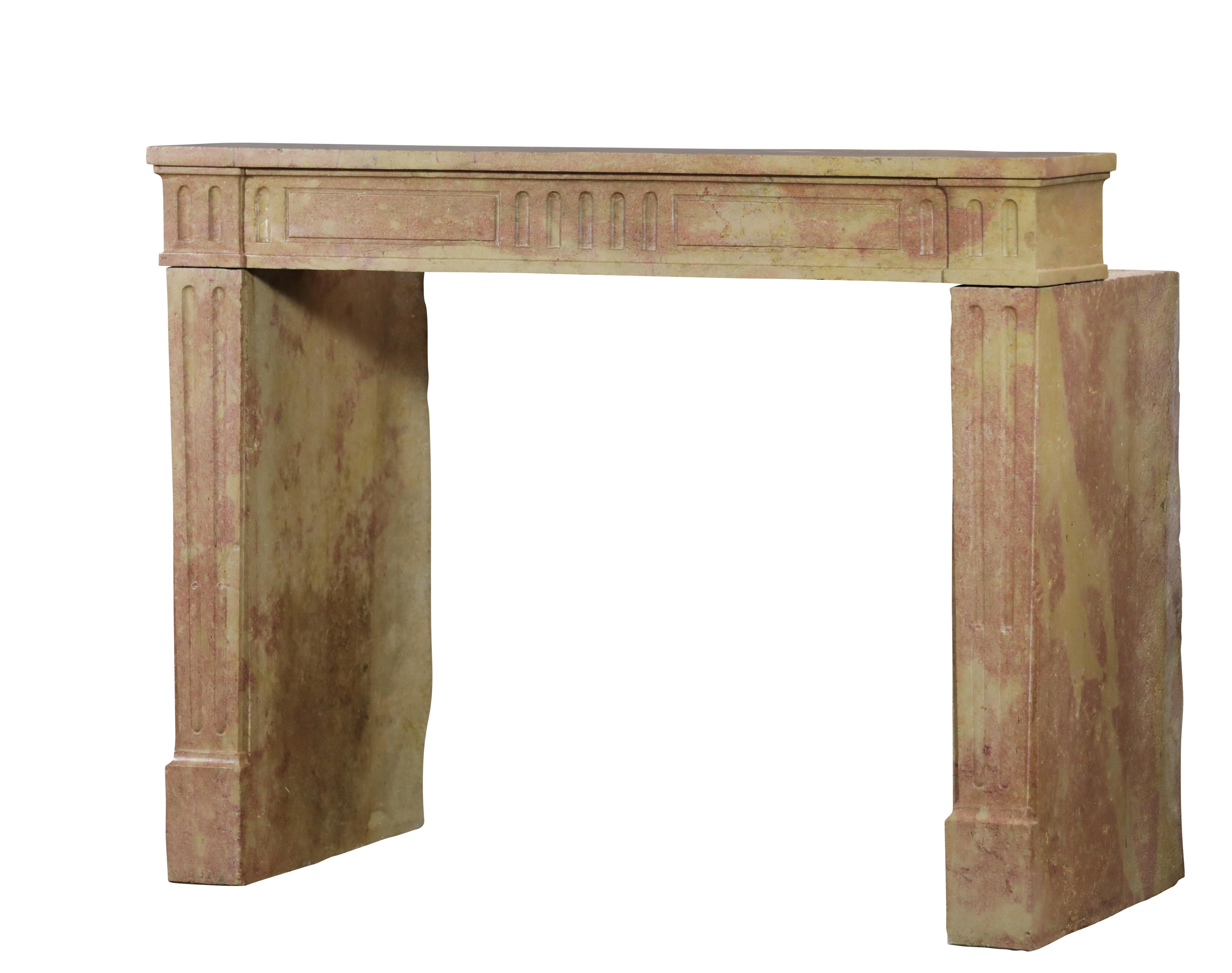 Classic Louis XVI French Bicolor Stone Fireplace From Dijon City Appartement For Sale 8