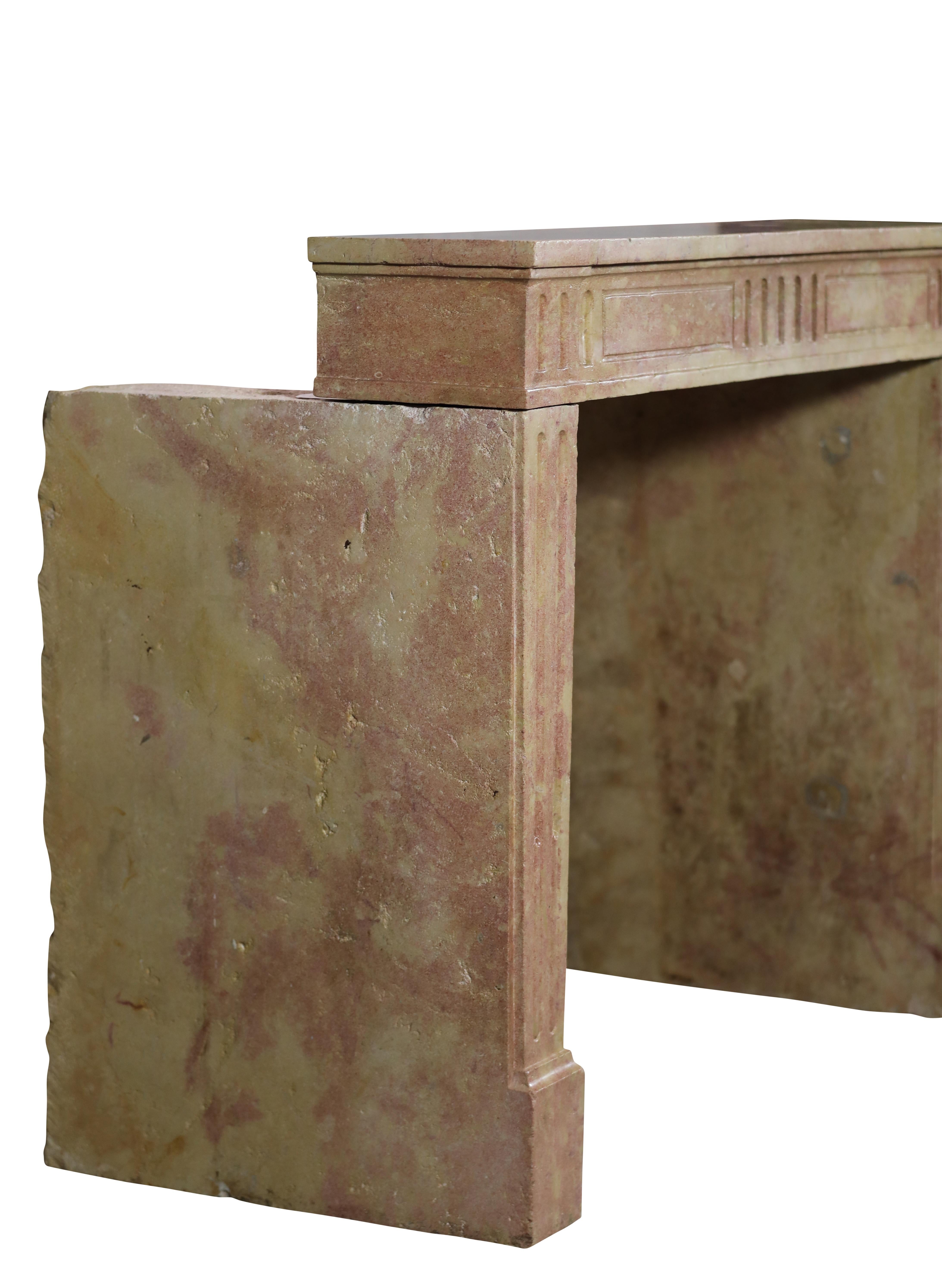Classic Louis XVI French Bicolor Stone Fireplace From Dijon City Appartement For Sale 9