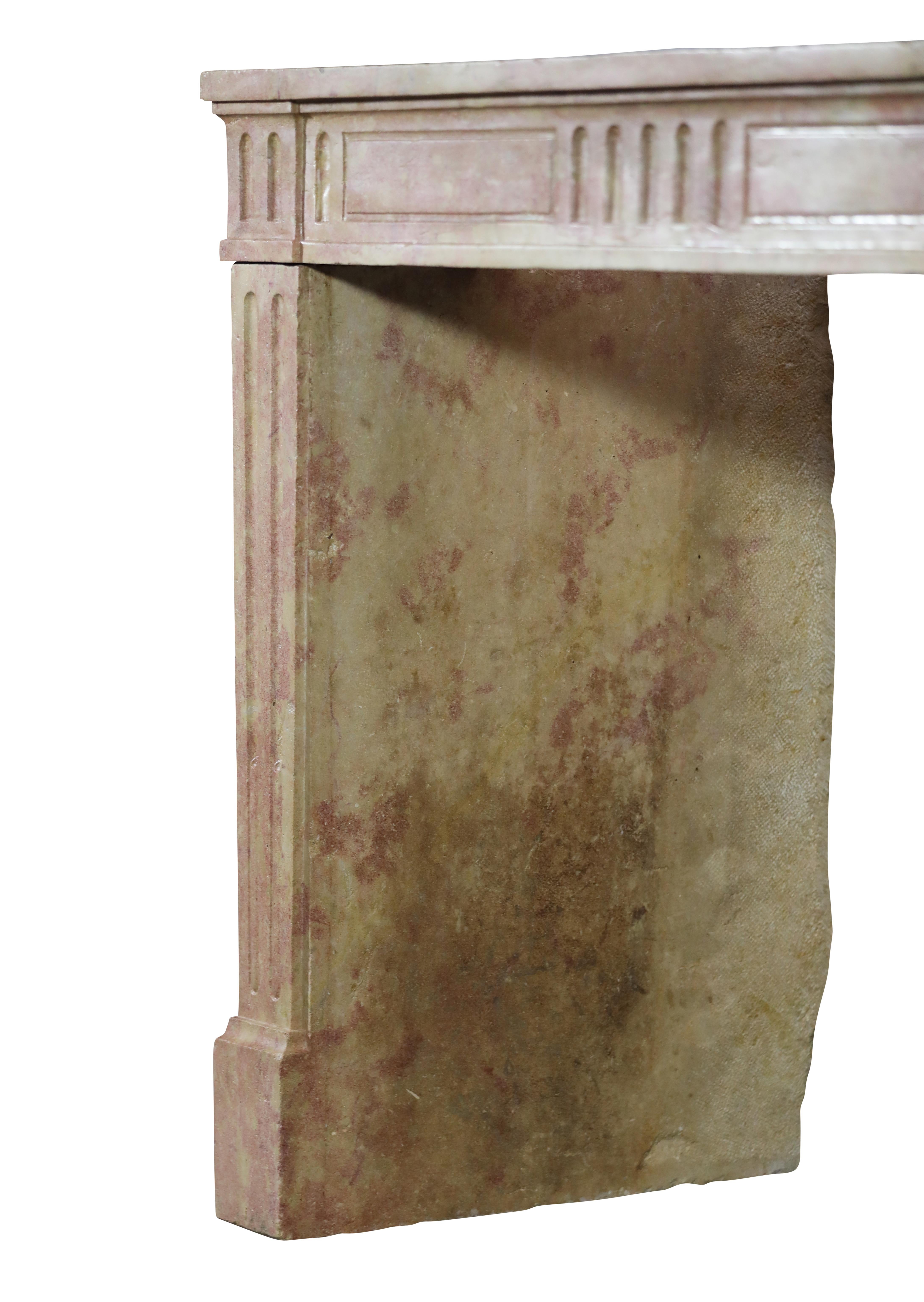 Classic Louis XVI French Bicolor Stone Fireplace From Dijon City Appartement For Sale 12