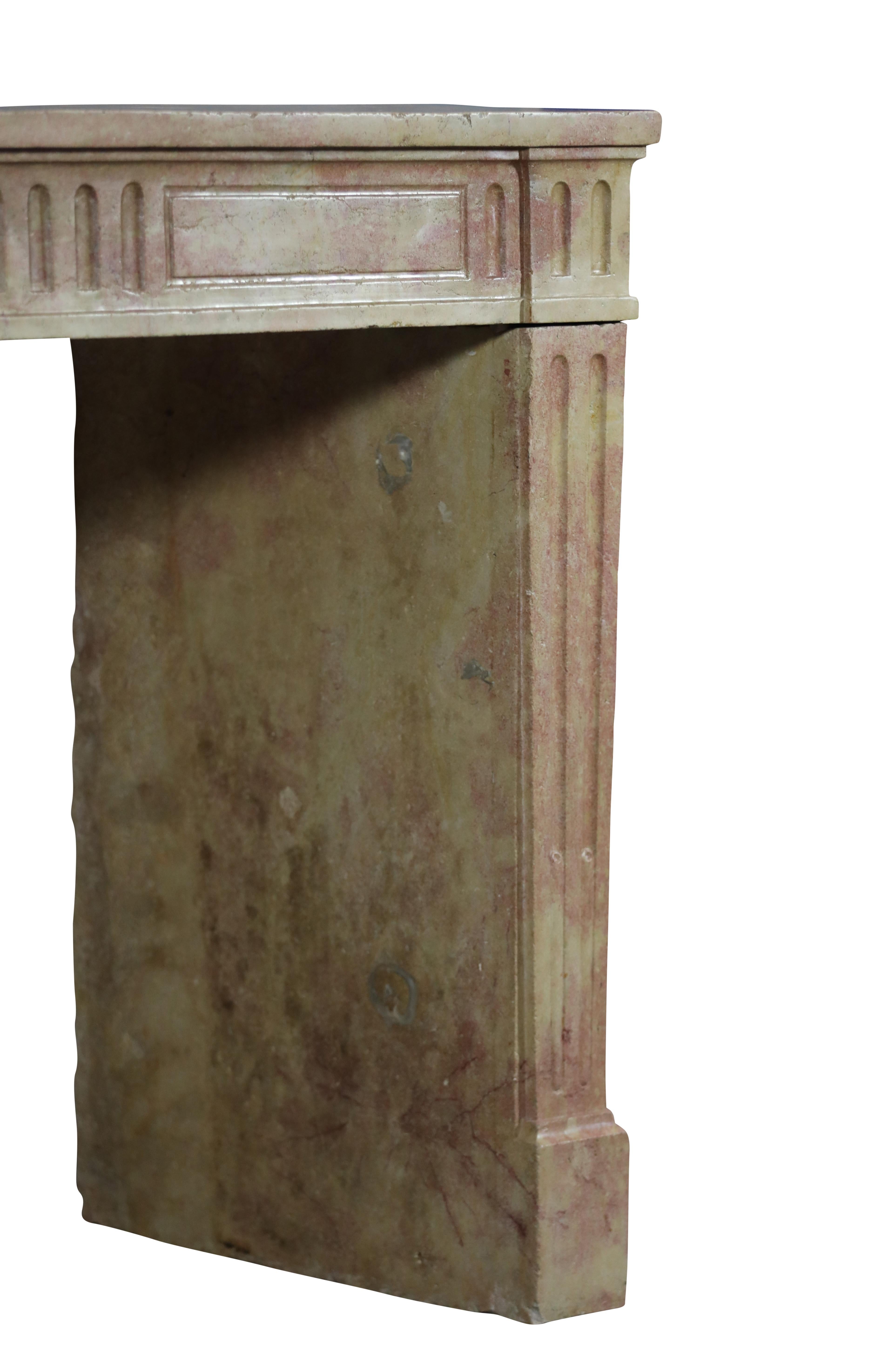 Classic Louis XVI French Bicolor Stone Fireplace From Dijon City Appartement For Sale 13