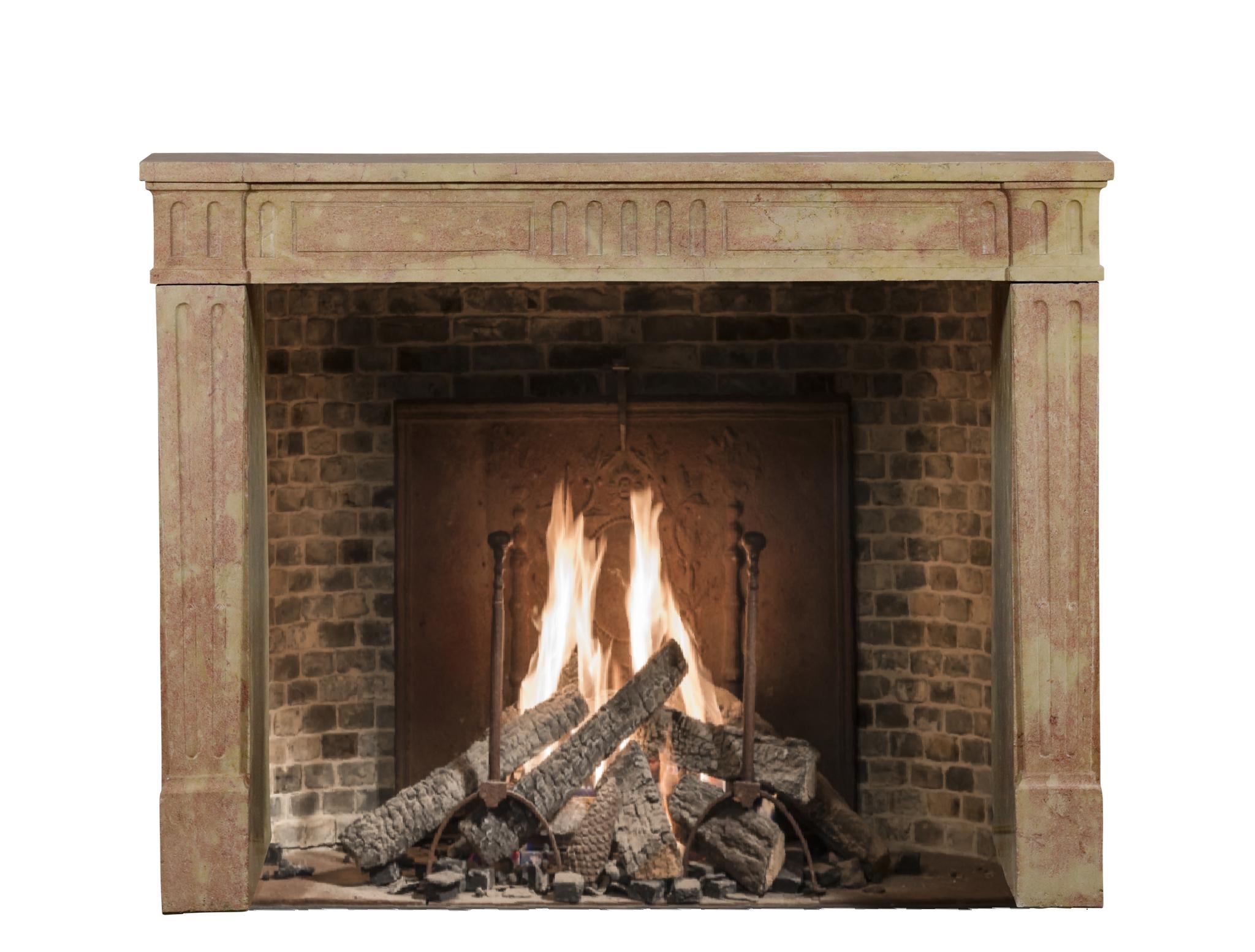 Classic Louis XVI French Bicolor Stone Fireplace From Dijon City Appartement For Sale 14