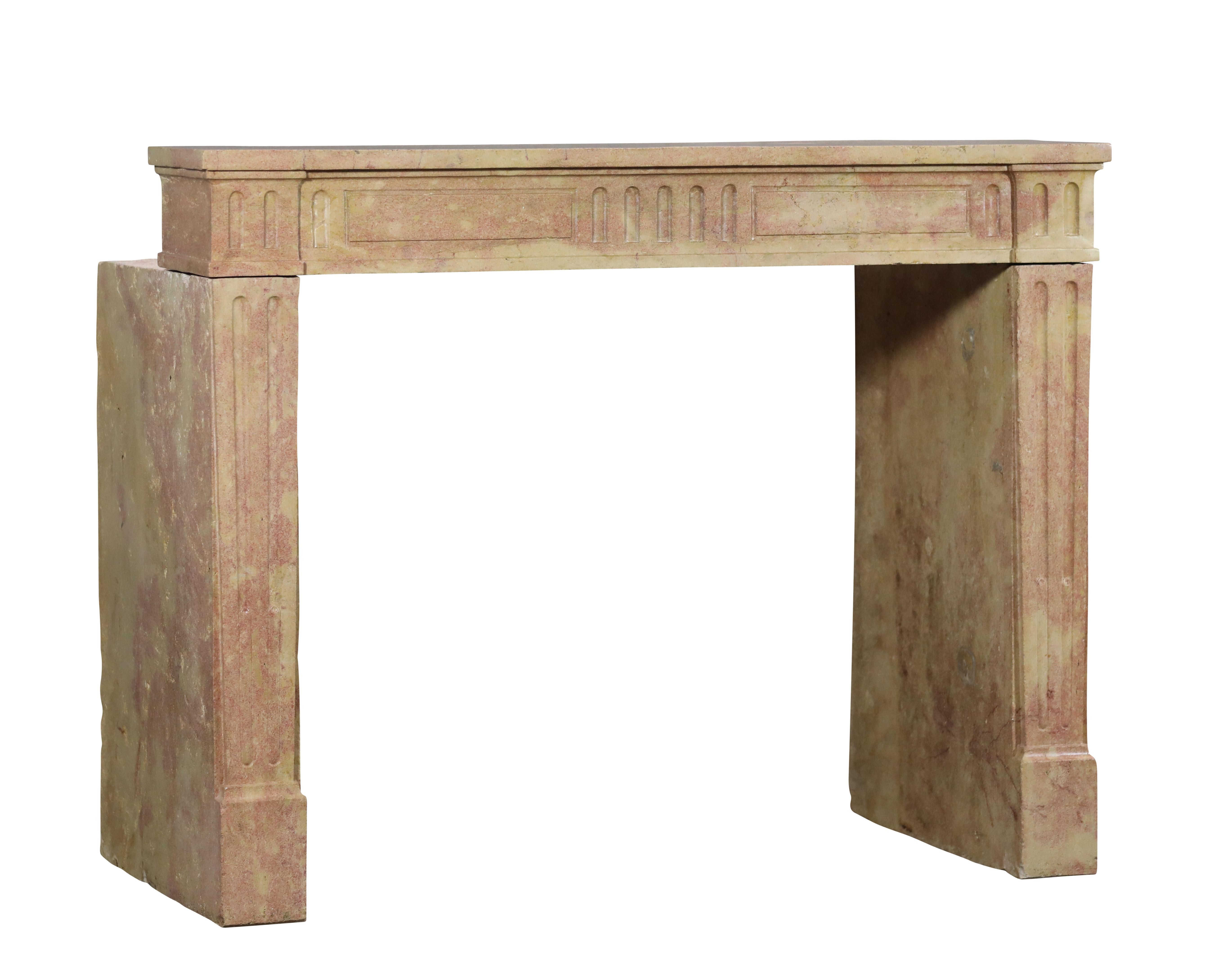 19th Century Classic Louis XVI French Bicolor Stone Fireplace From Dijon City Appartement For Sale