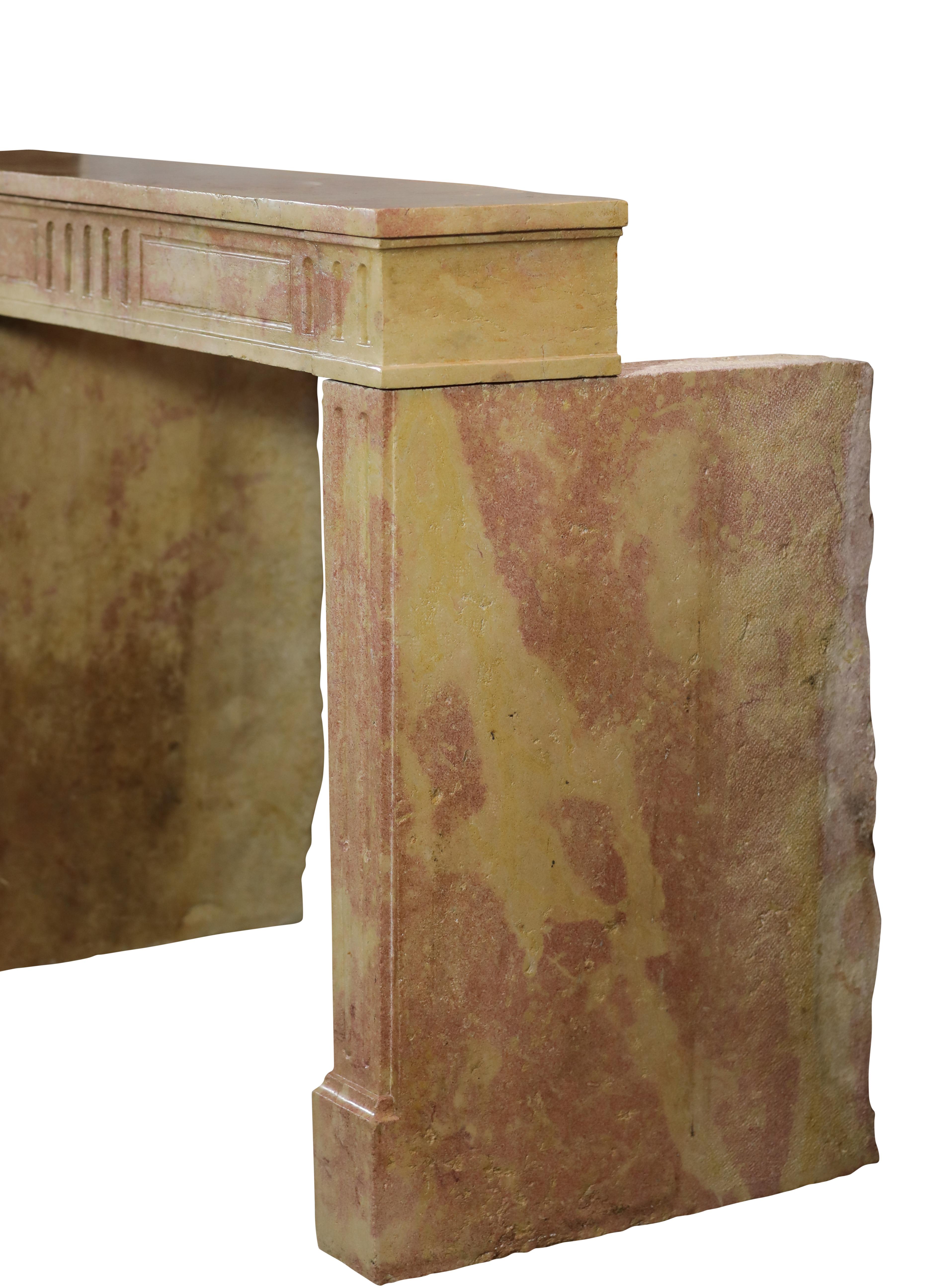 Classic Louis XVI French Bicolor Stone Fireplace From Dijon City Appartement For Sale 3