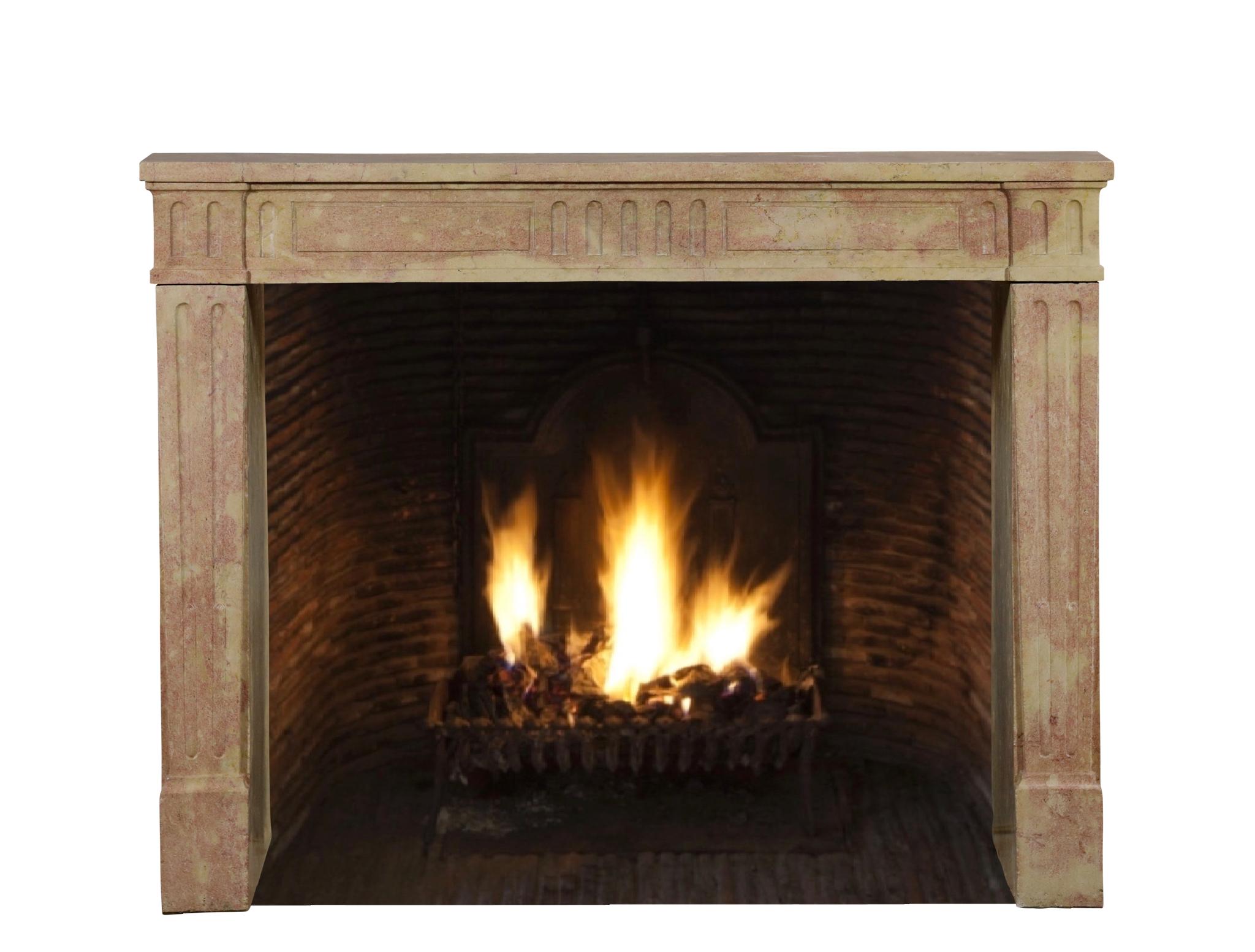 Classic Louis XVI French Bicolor Stone Fireplace From Dijon City Appartement For Sale 4