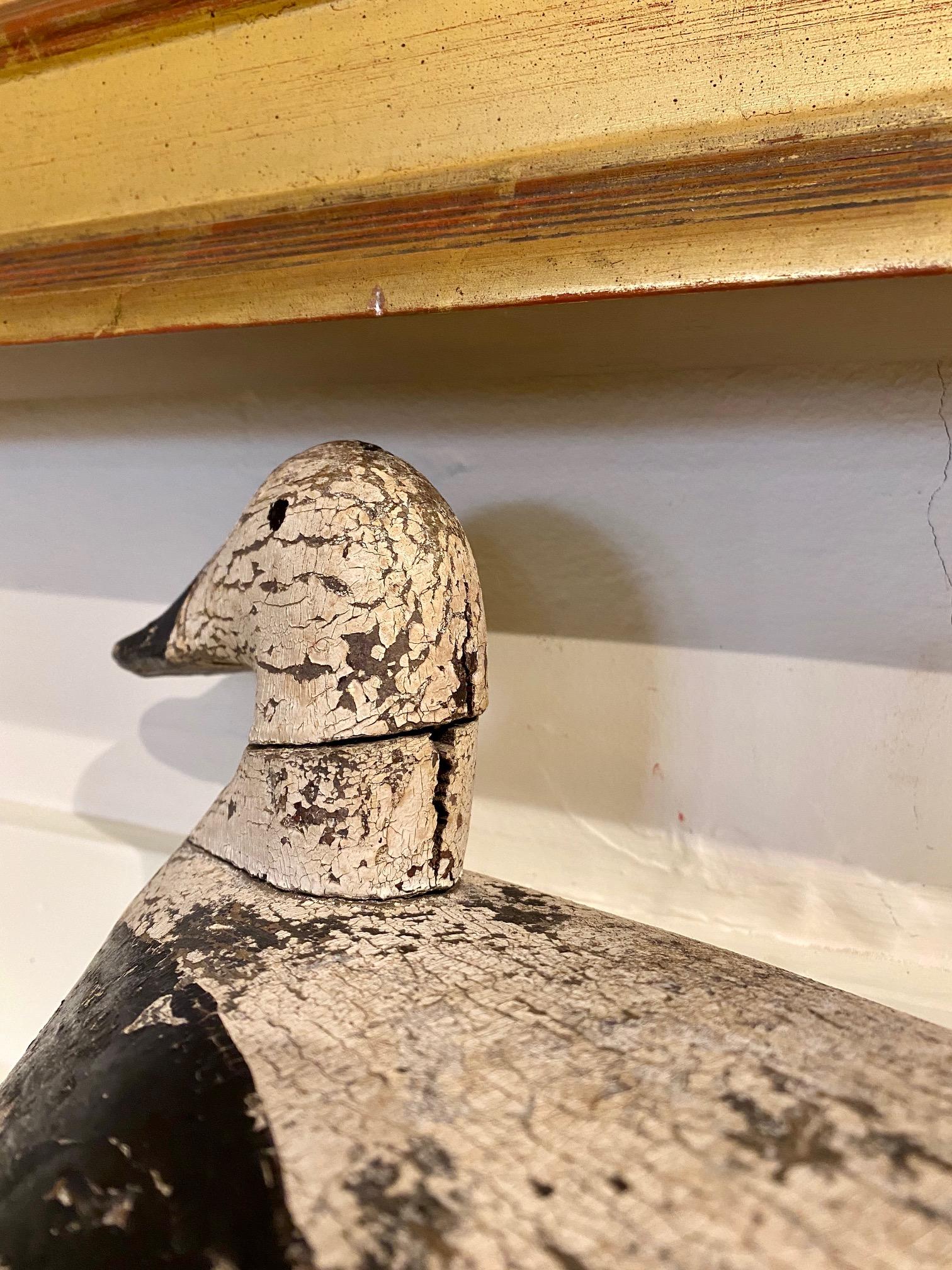 Folk Art Classic Maine Eider Drake Decoy, circa 1920s For Sale