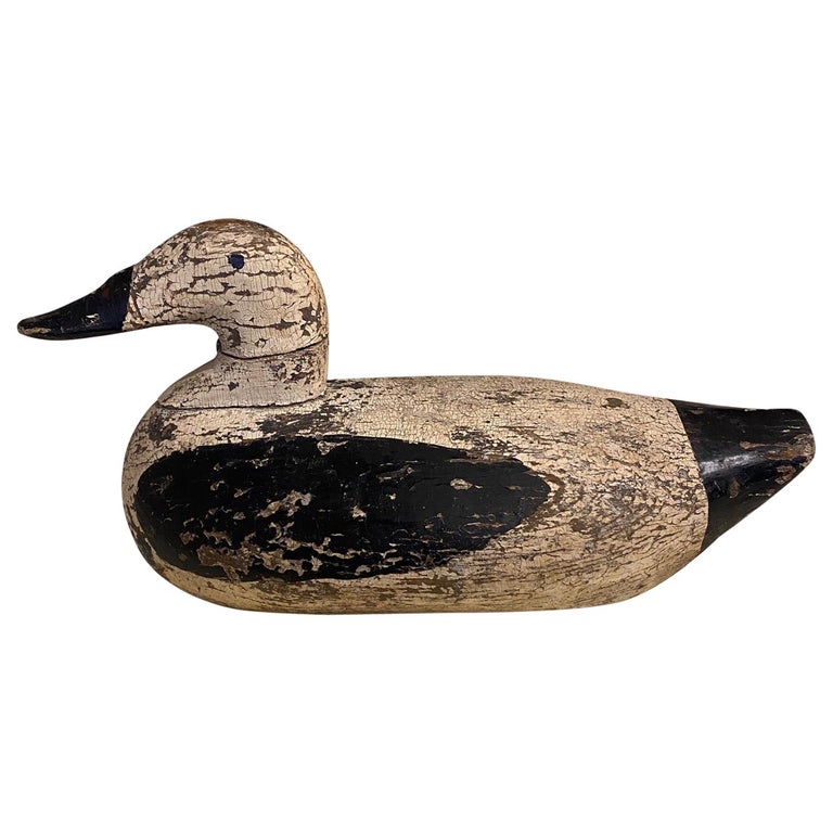 Classic Maine Eider Drake Decoy, circa 1920s For Sale at 1stDibs