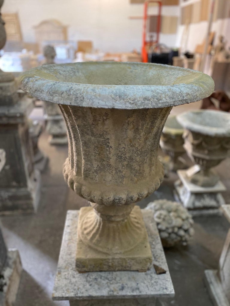 Classic Medici Urn at 1stDibs
