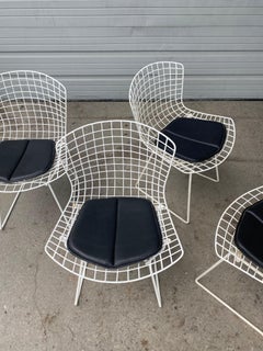 Classic Modern Wire Mesh Side Chairs by Harry Bertoia for Knoll