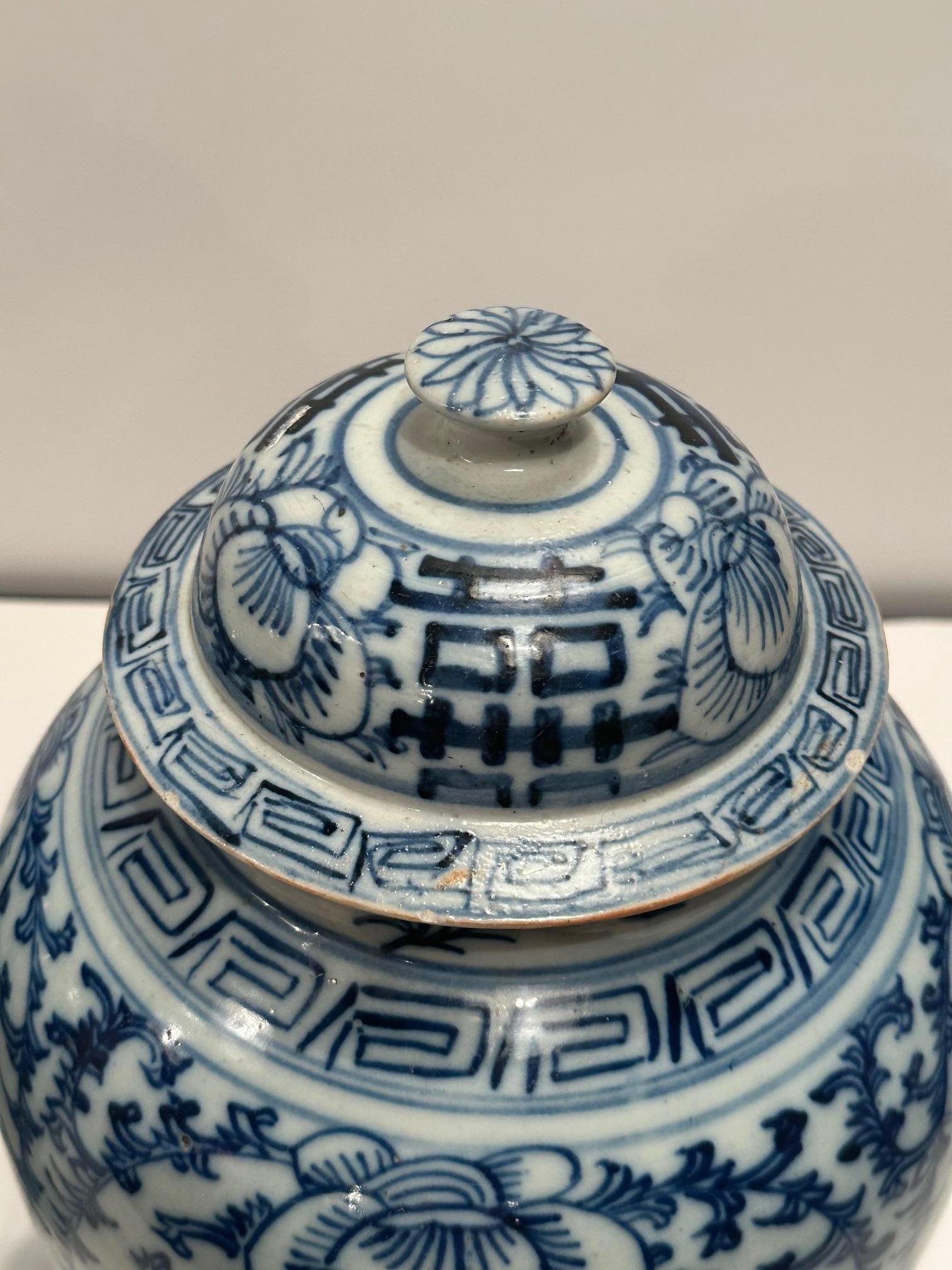 Antichi barattoli cinesi con coperchio blu e bianco, senza tempo, che costituiscono un accessorio elegante.