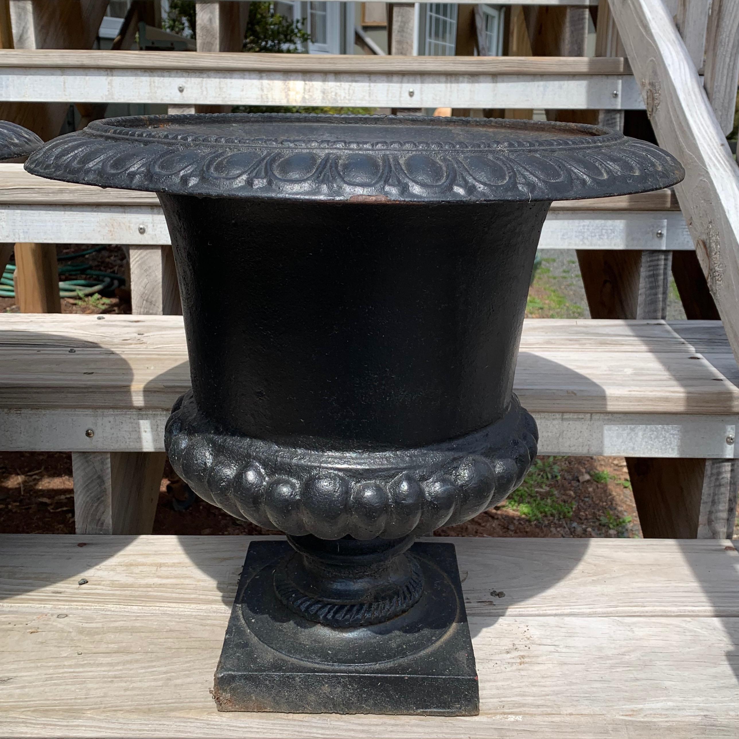 American Classic Pair of Black Vintage Cast Iron Planters Urns