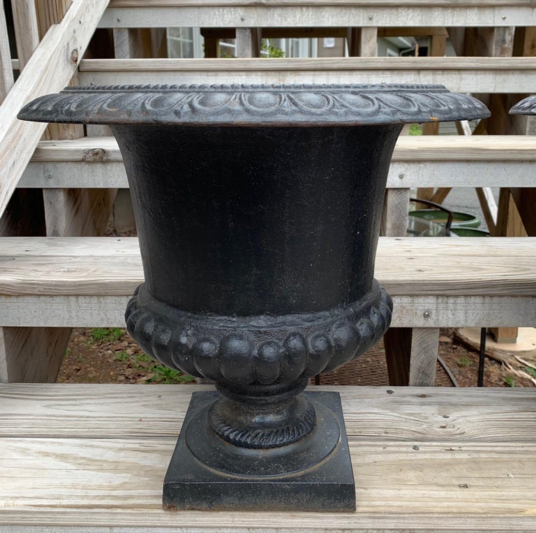 Classic Pair of Black Vintage Cast Iron Planters Urns at 1stDibs