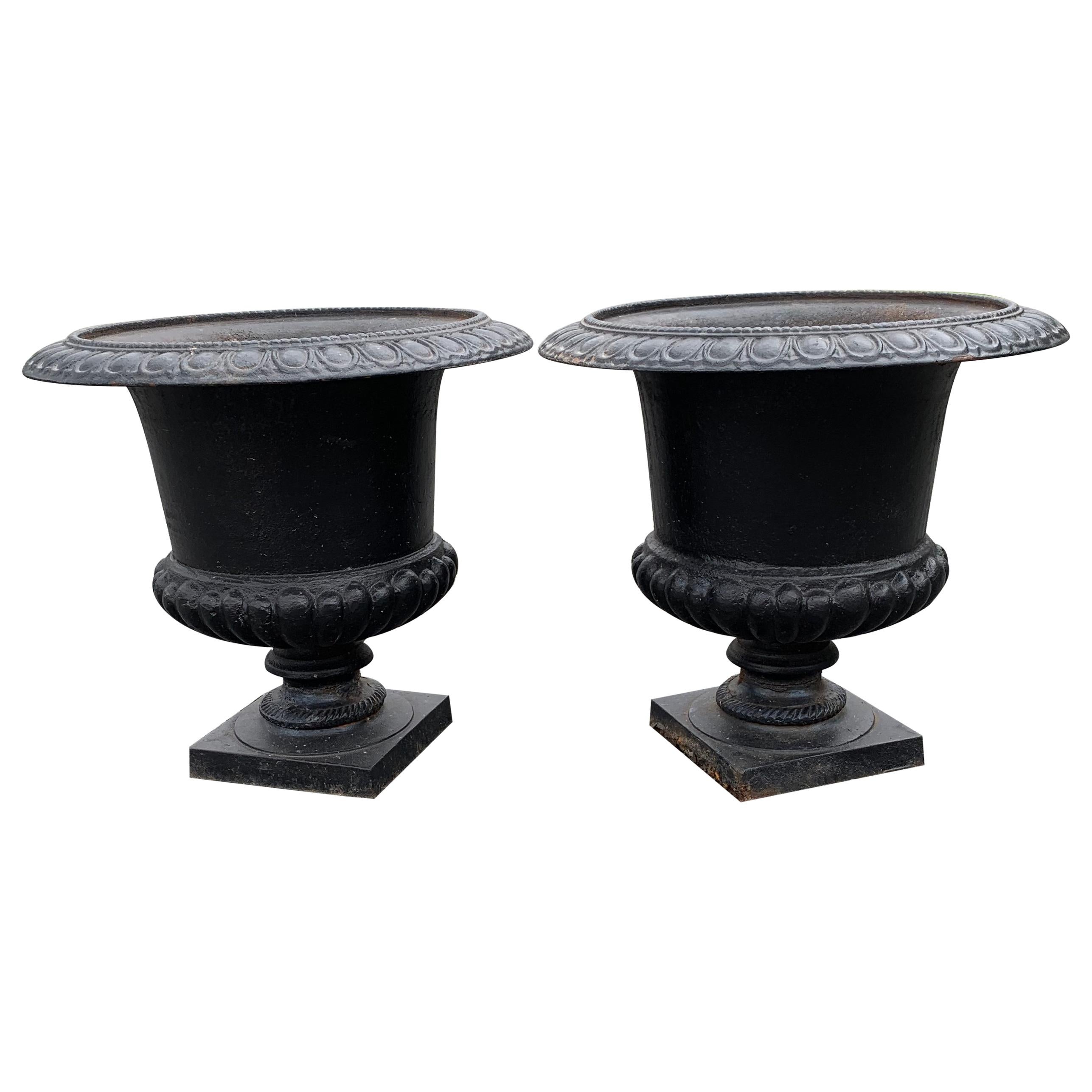 Classic Pair of Black Vintage Cast Iron Planters Urns