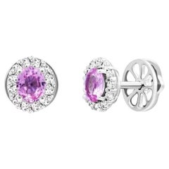 Classic Pink Sapphire Diamond 14K White Gold Ohrringe für Sie