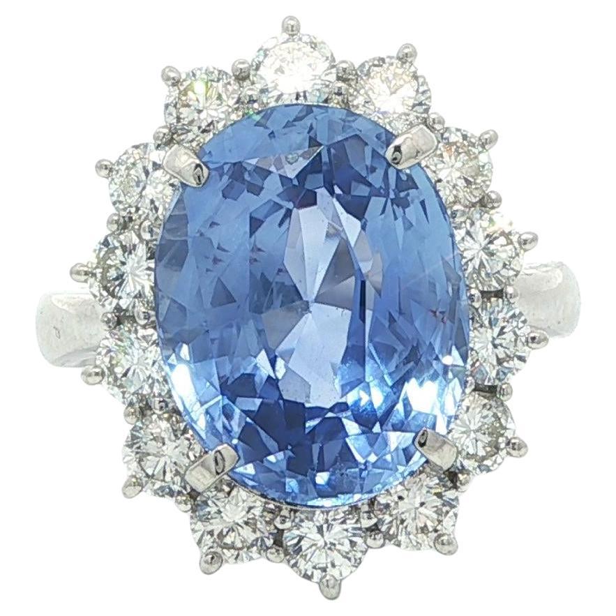 Klassisches Platin 10,56ctw GIA Ceylon keine Hitze Oval Saphir w / Diamant Halo Ring im Angebot