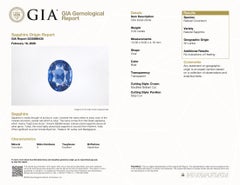 Bague classique en platine GIA 4.34ctw No Heat Ceylon Oval Sapphire F VS Diamond Halo Ring