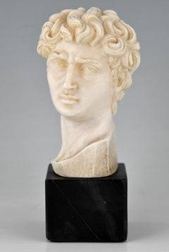 Classic Roman Sculpture Bust of David by Ruggeri Italy