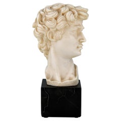 Classic Roman Sculpture Bust of David by Ruggeri Italy