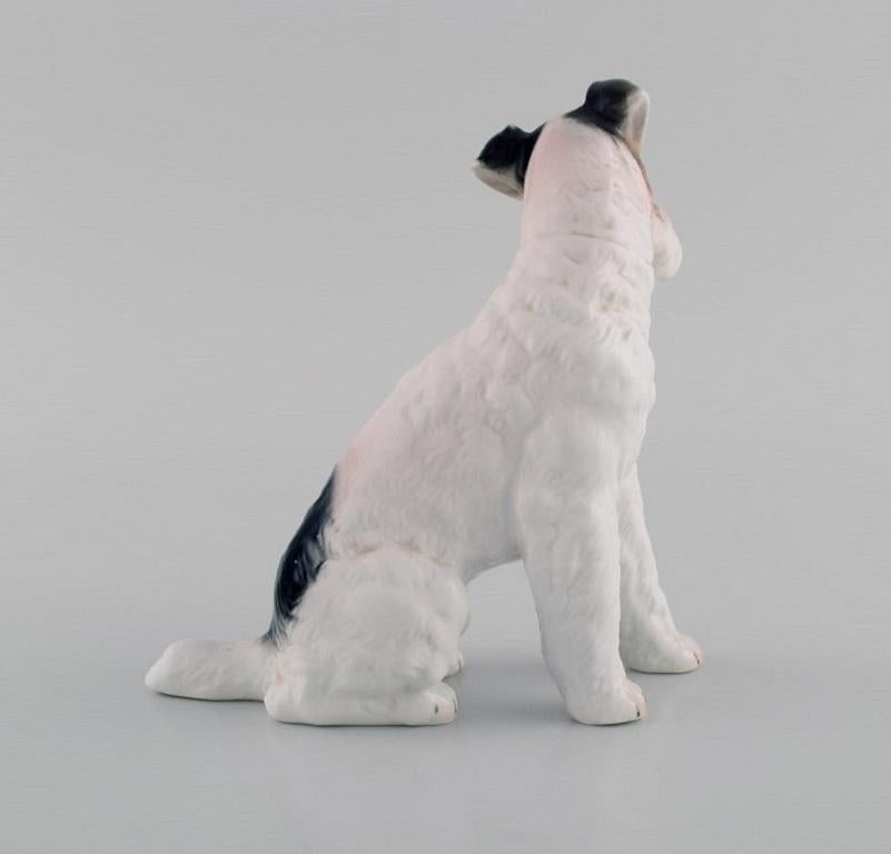 German Classic Rose Collection, Rosenthal Group, Wire Haired Fox Terrier in Porcelain