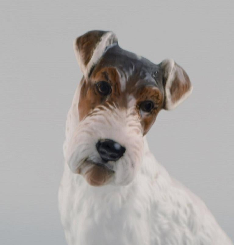 Classic Rose Collection, Rosenthal Group, Wire Haired Fox Terrier in Porcelain In Excellent Condition In Copenhagen, DK