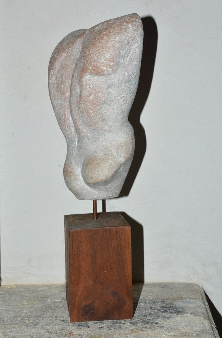 Classic Sculpted Stone of Male Torso at 1stDibs