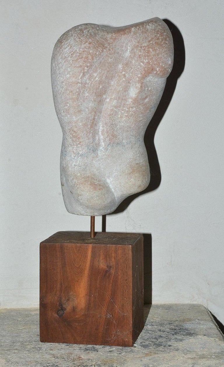 Classic Sculpted Stone of Male Torso at 1stDibs