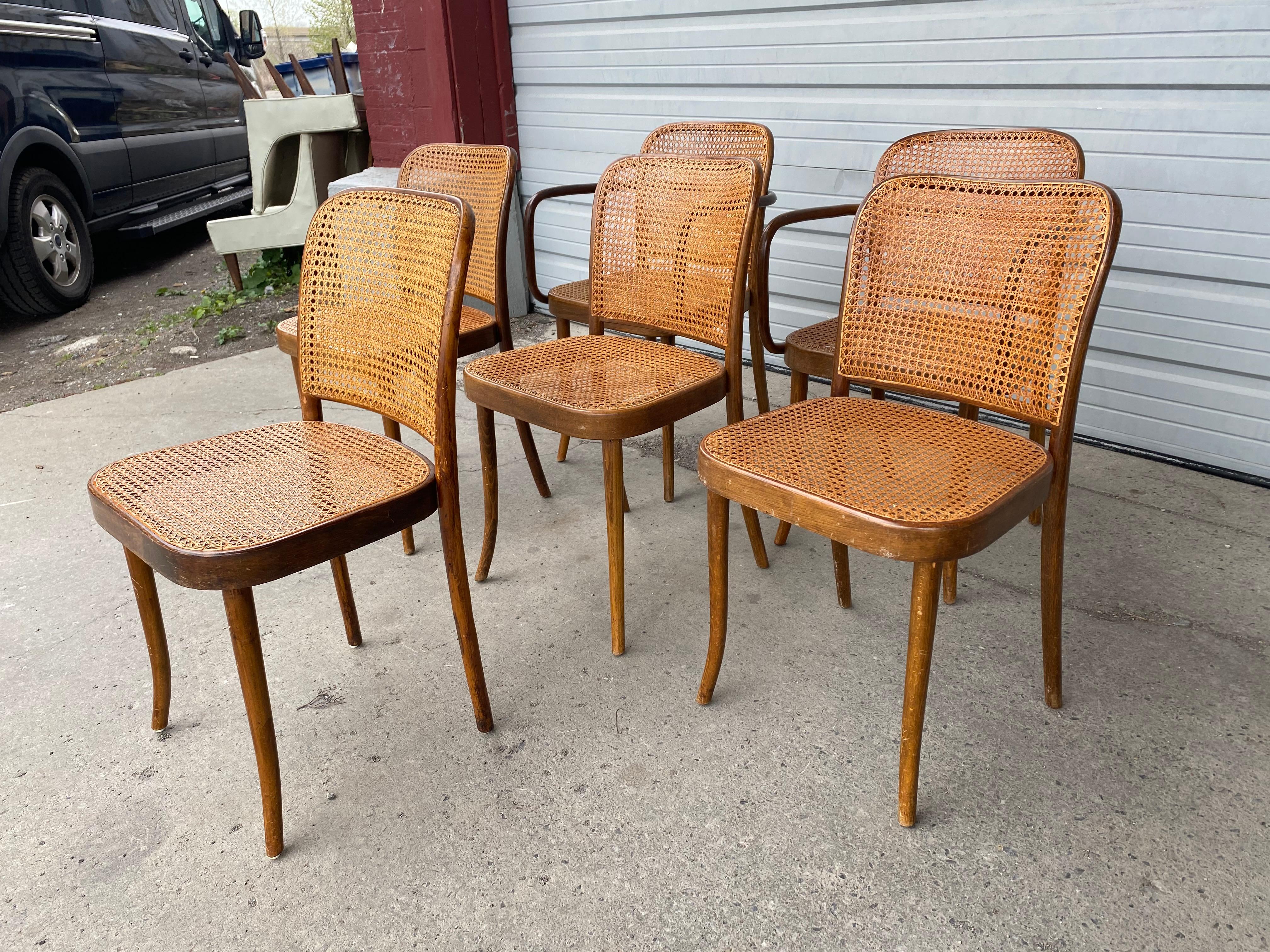 Classic Set 6 Bauhaus Wood and Cane Dining Chairs by Josef Hoffmann for Stendig In Good Condition In Buffalo, NY